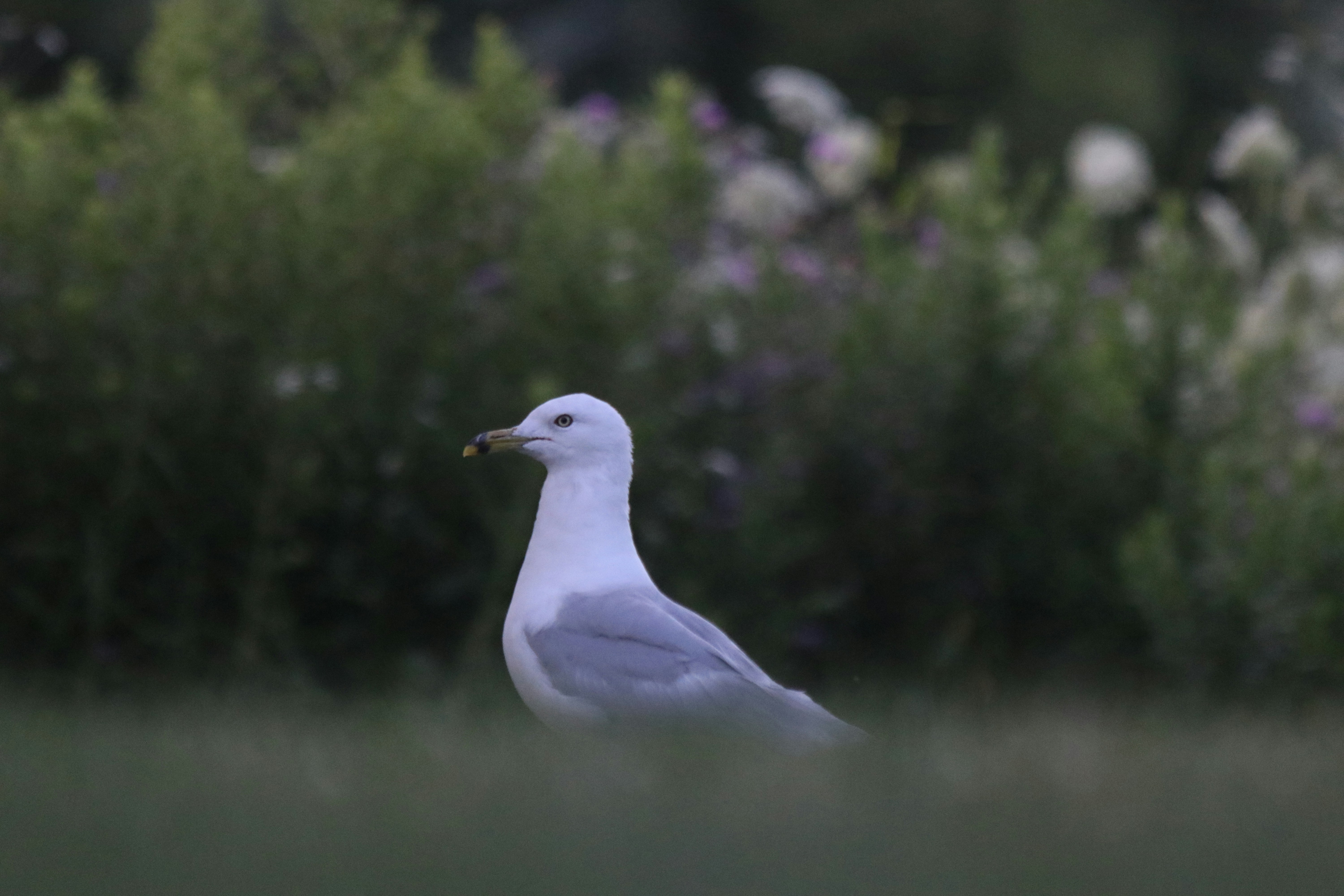 Photo by the_n_stagram