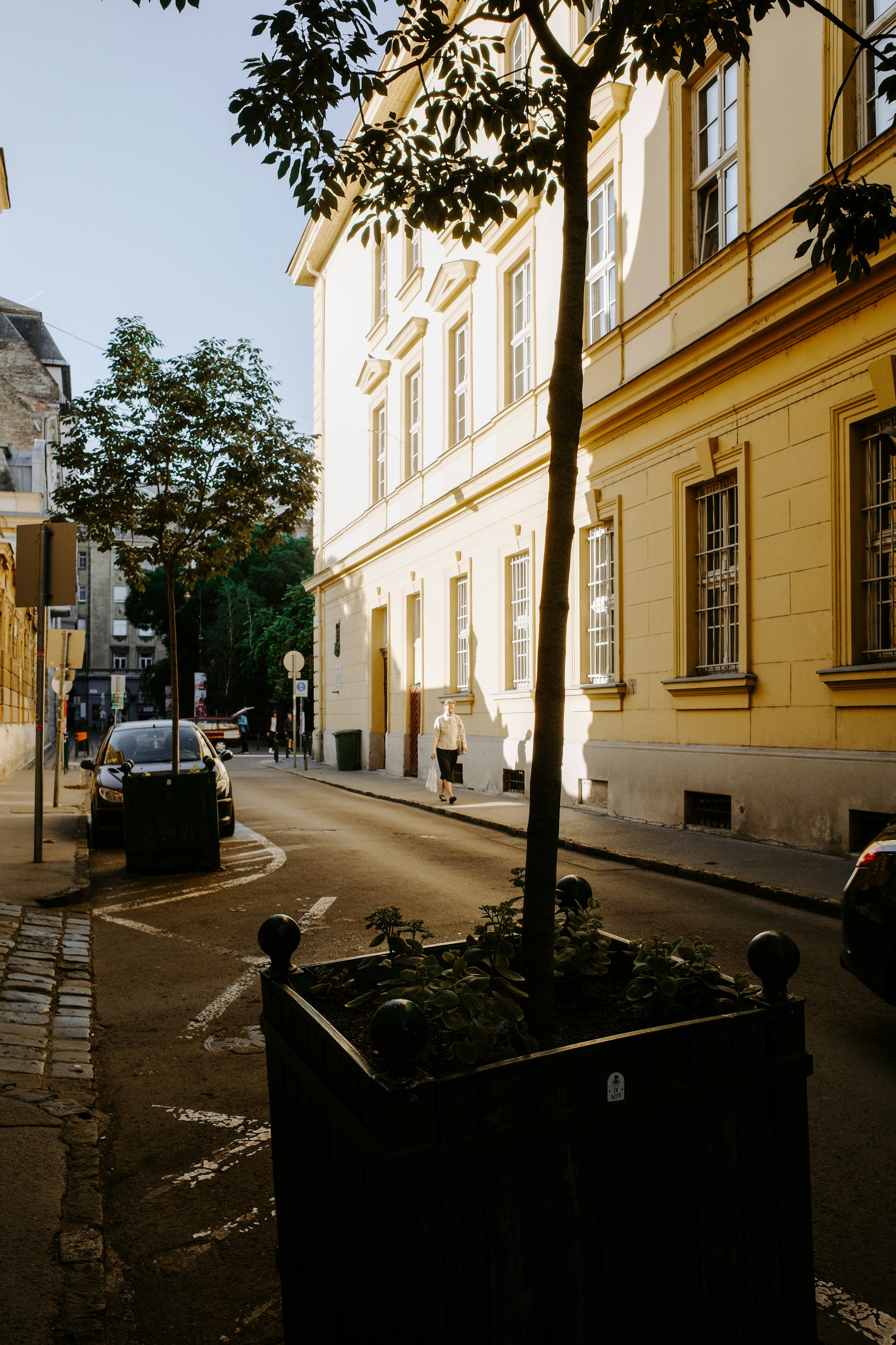 Photo by stachmann