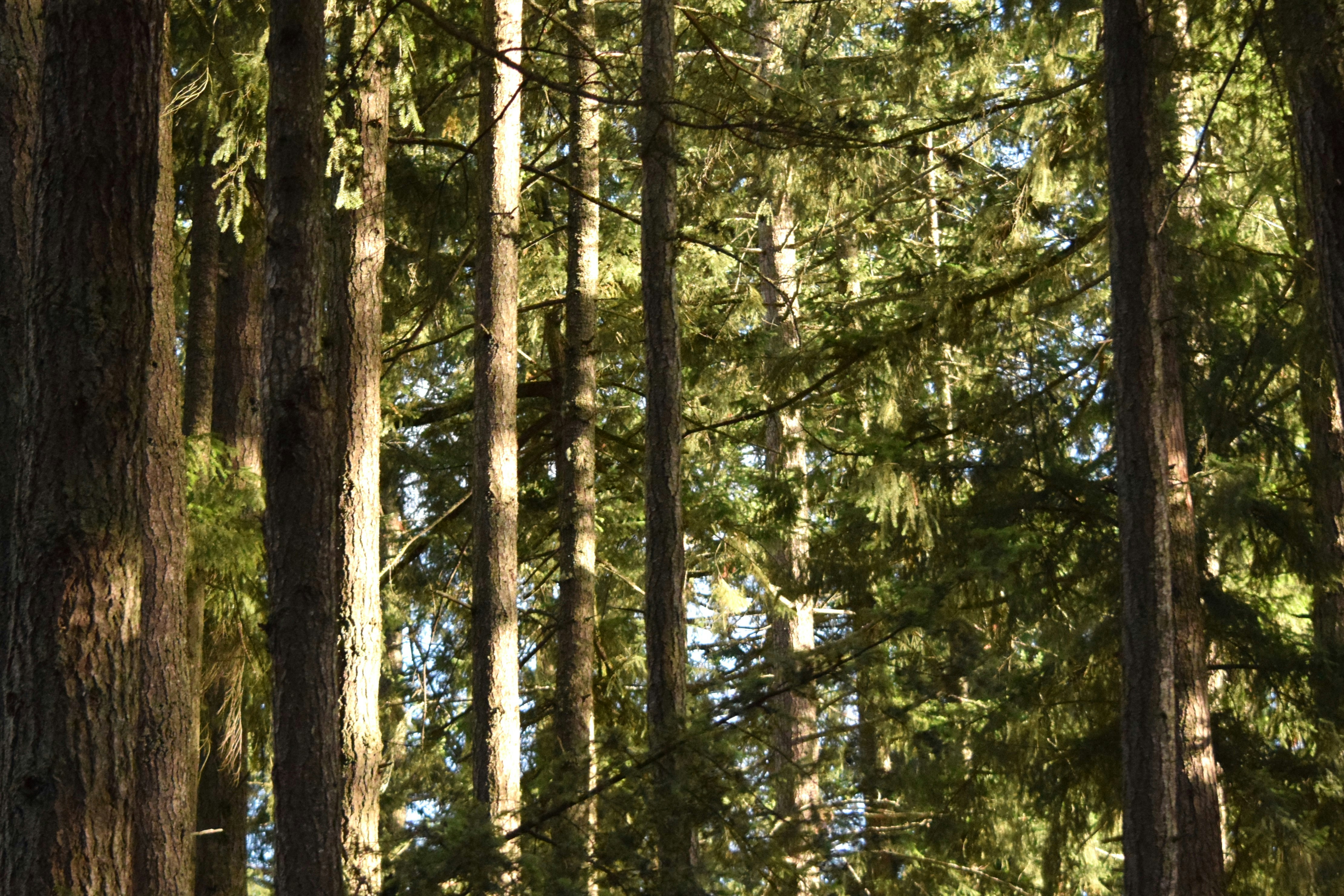 Photo by fr0ggy5_fr0ggy5