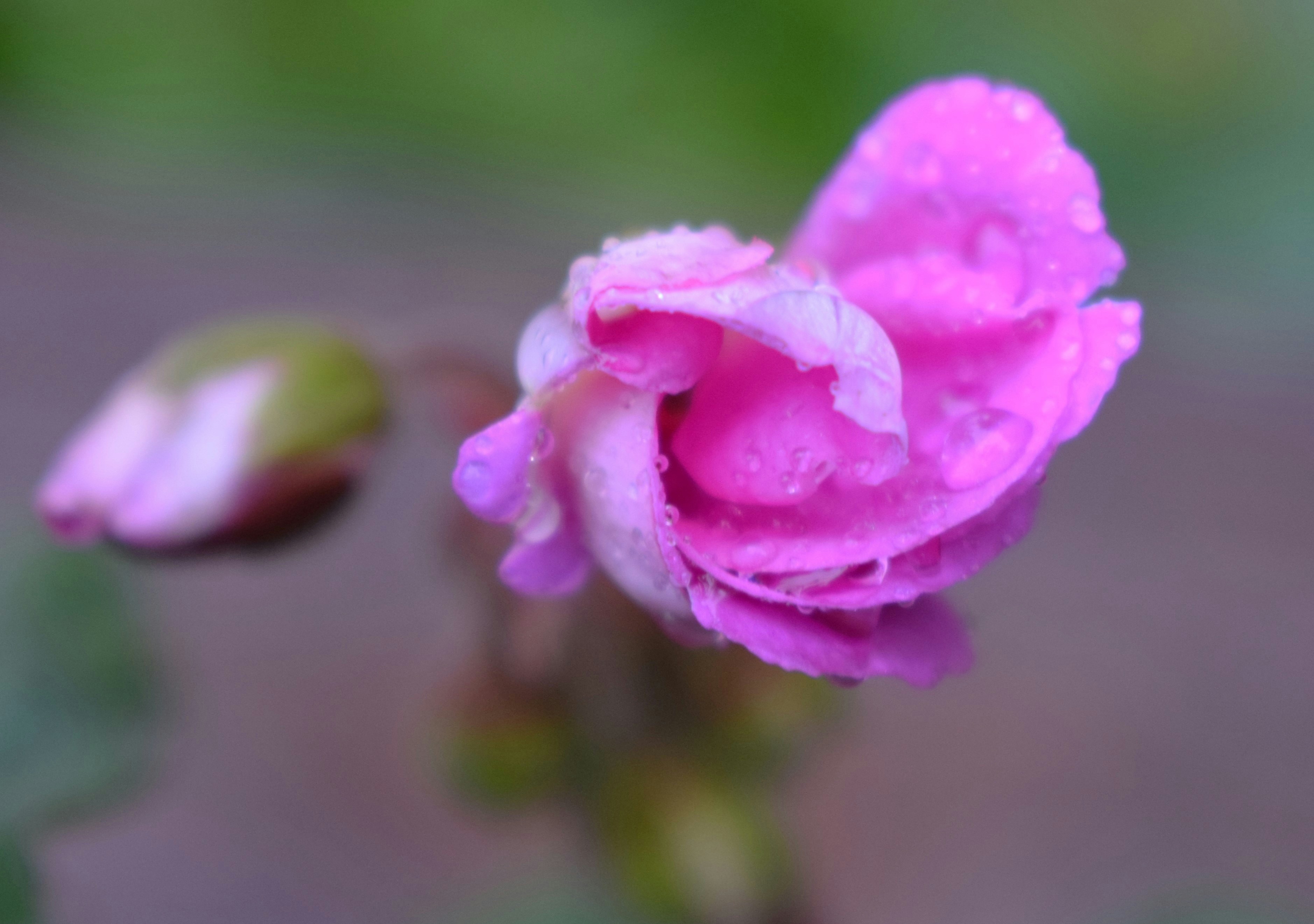 Photo by fr0ggy5_fr0ggy5