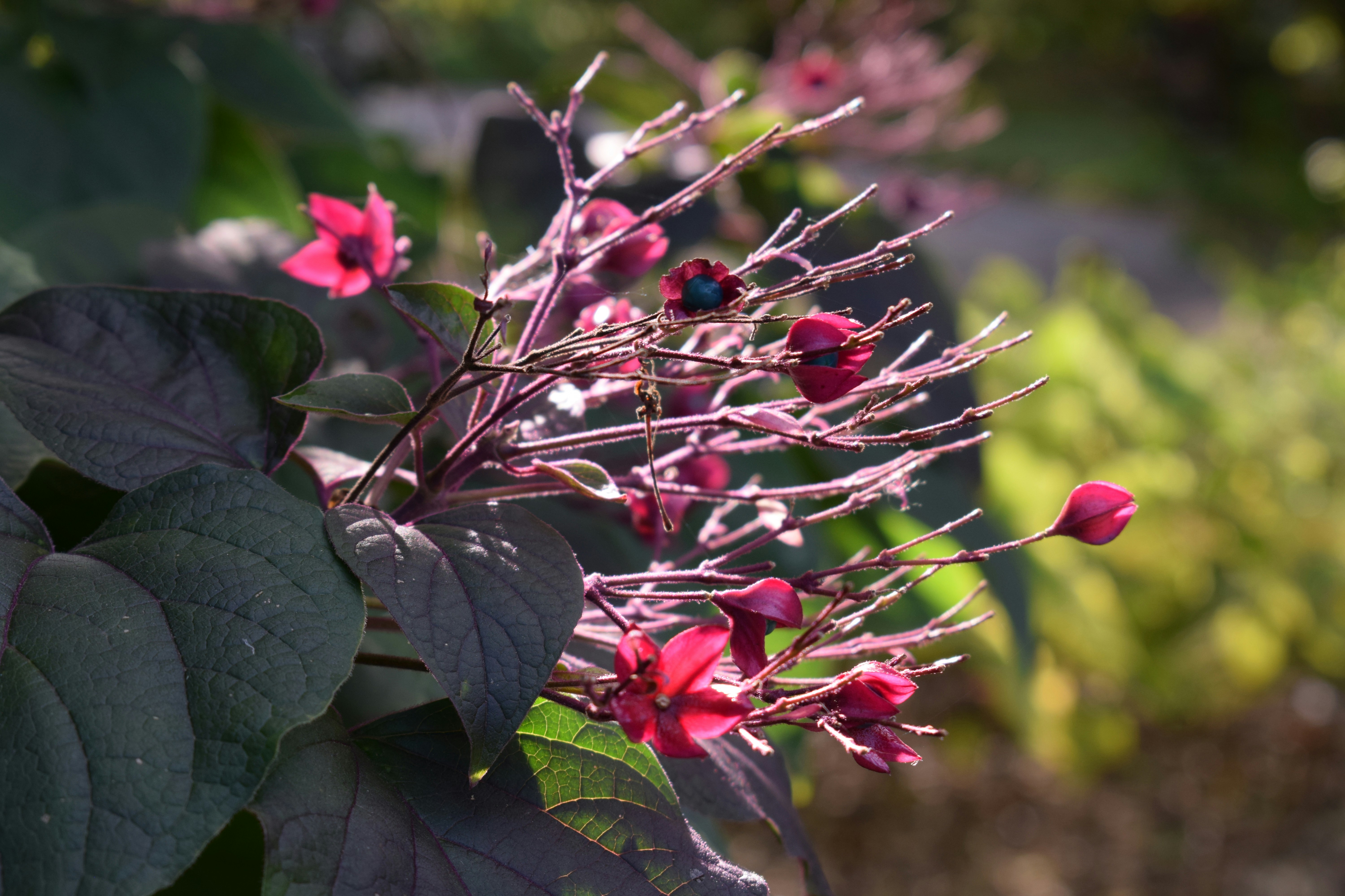 Photo by kristina001