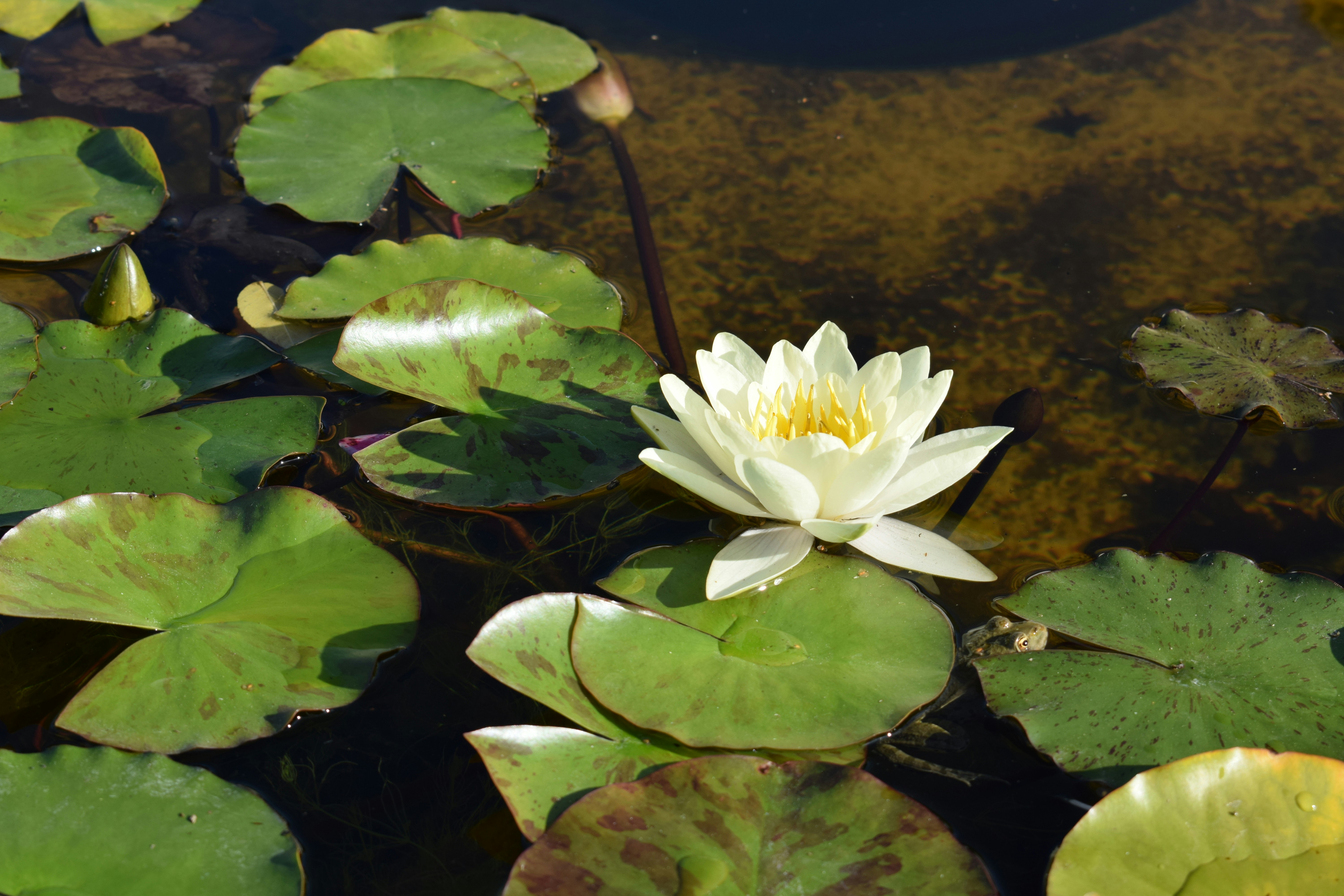 Photo by kristina001