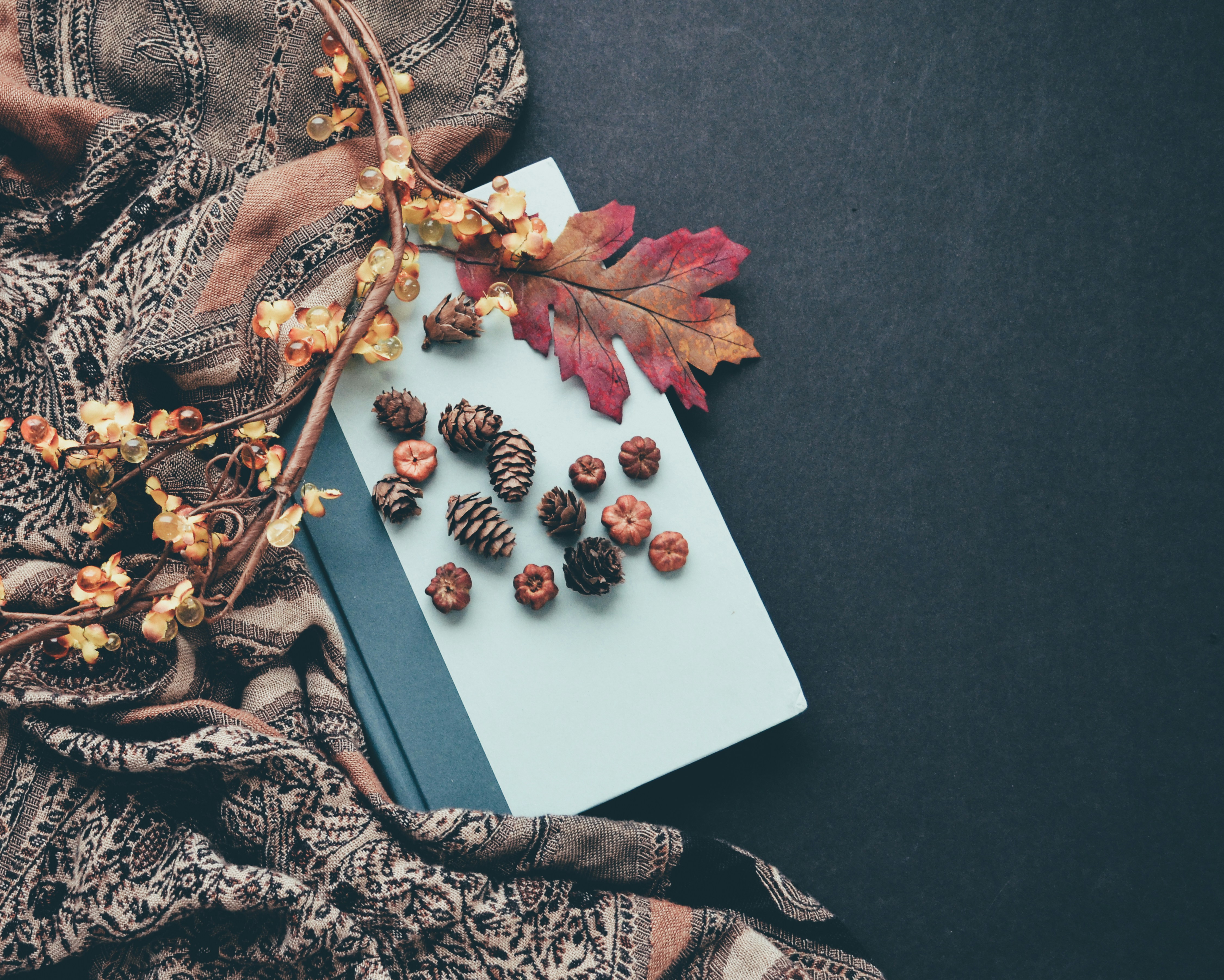 A book and some leaves on a table