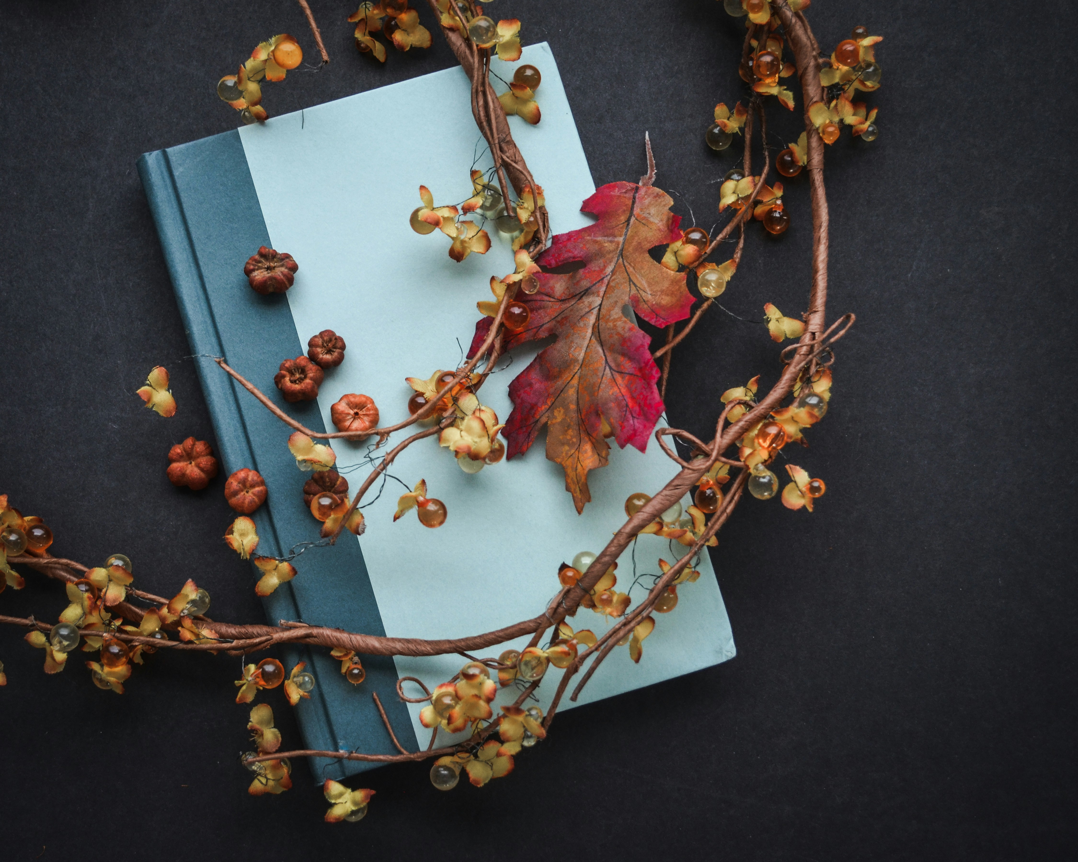 A book sitting on top of a table next to a tree branch
