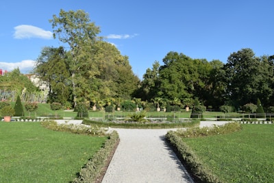 A path in the middle of a lush green park