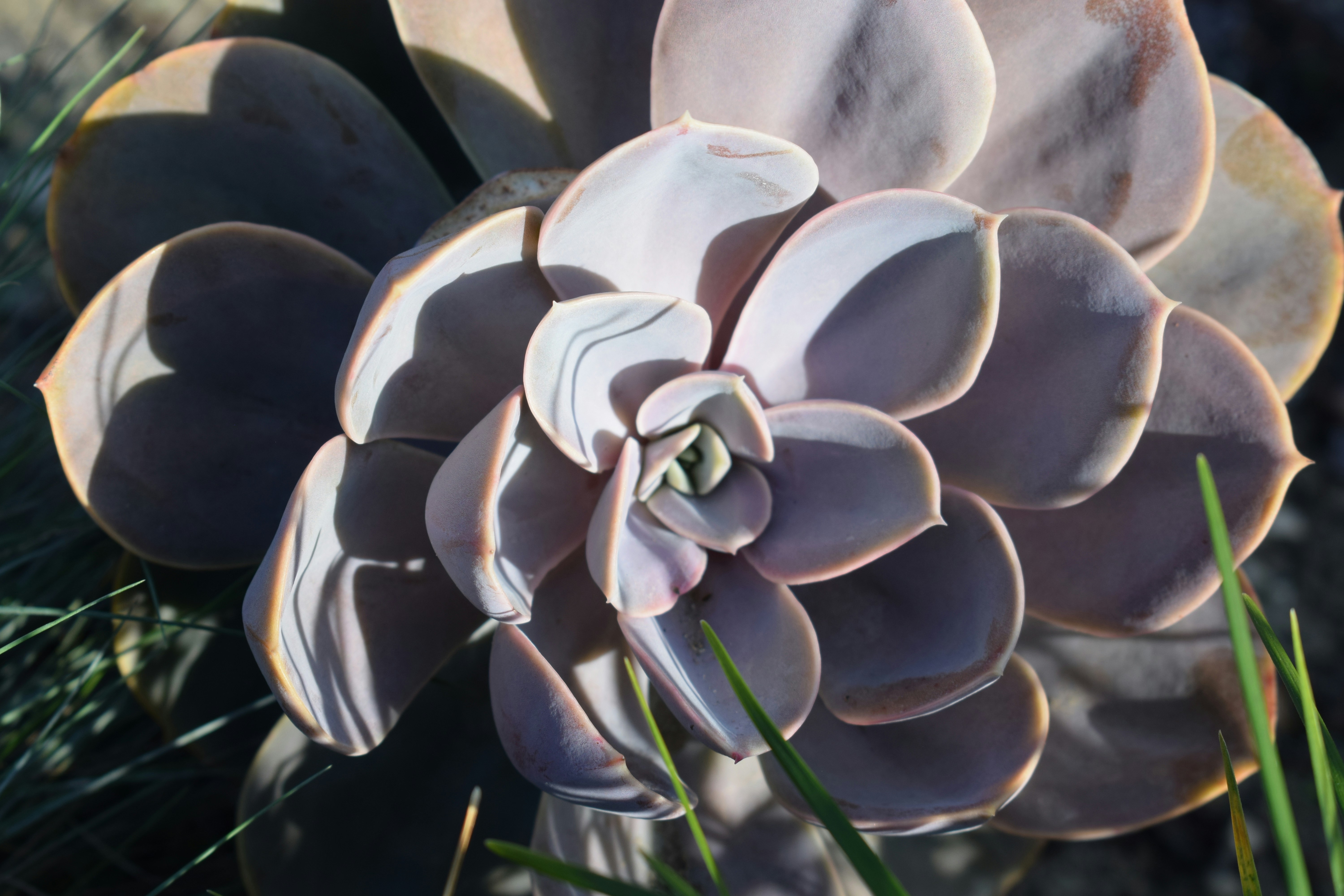 Photo by kristina001