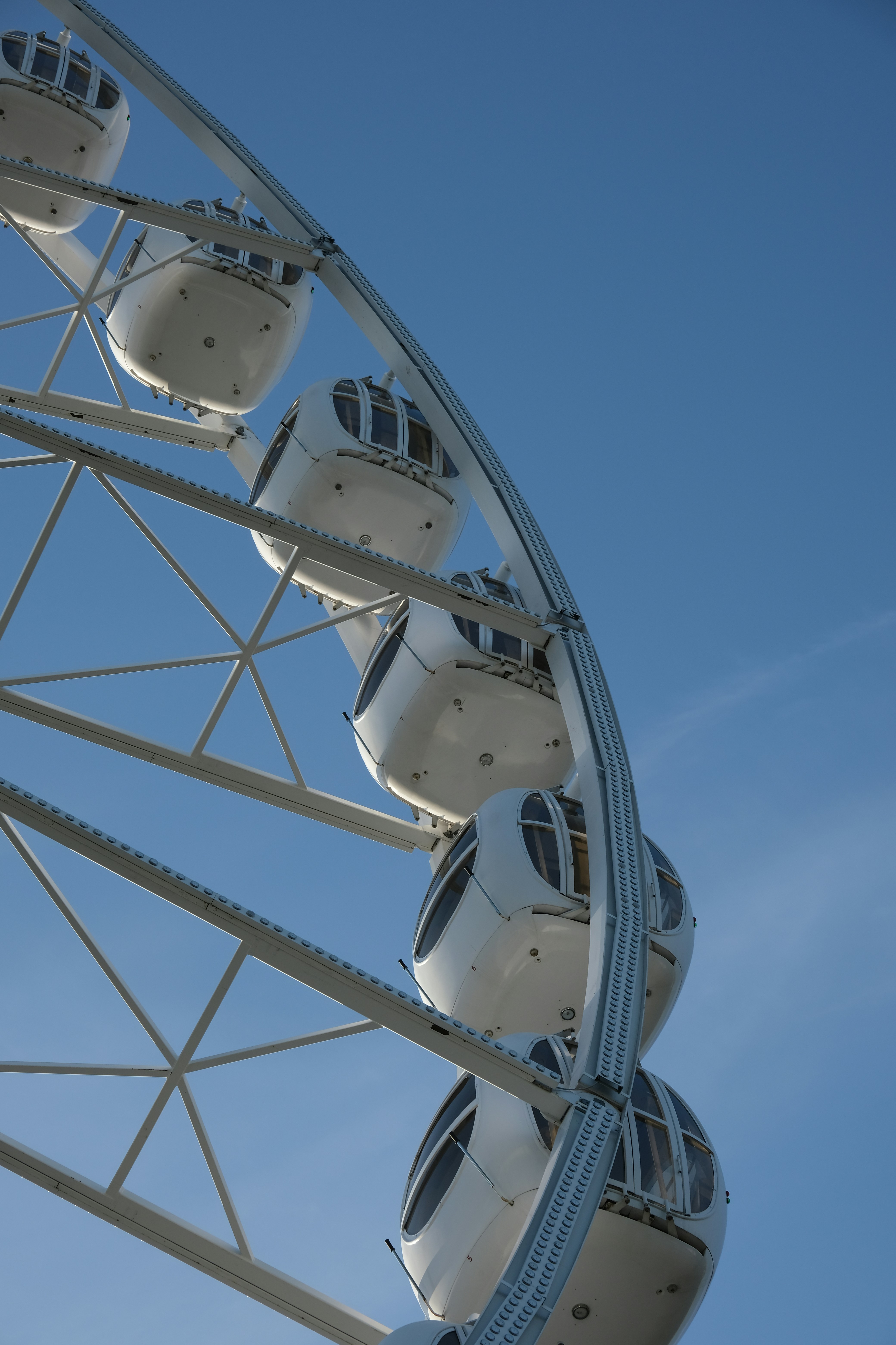 Photo by artemis_ray