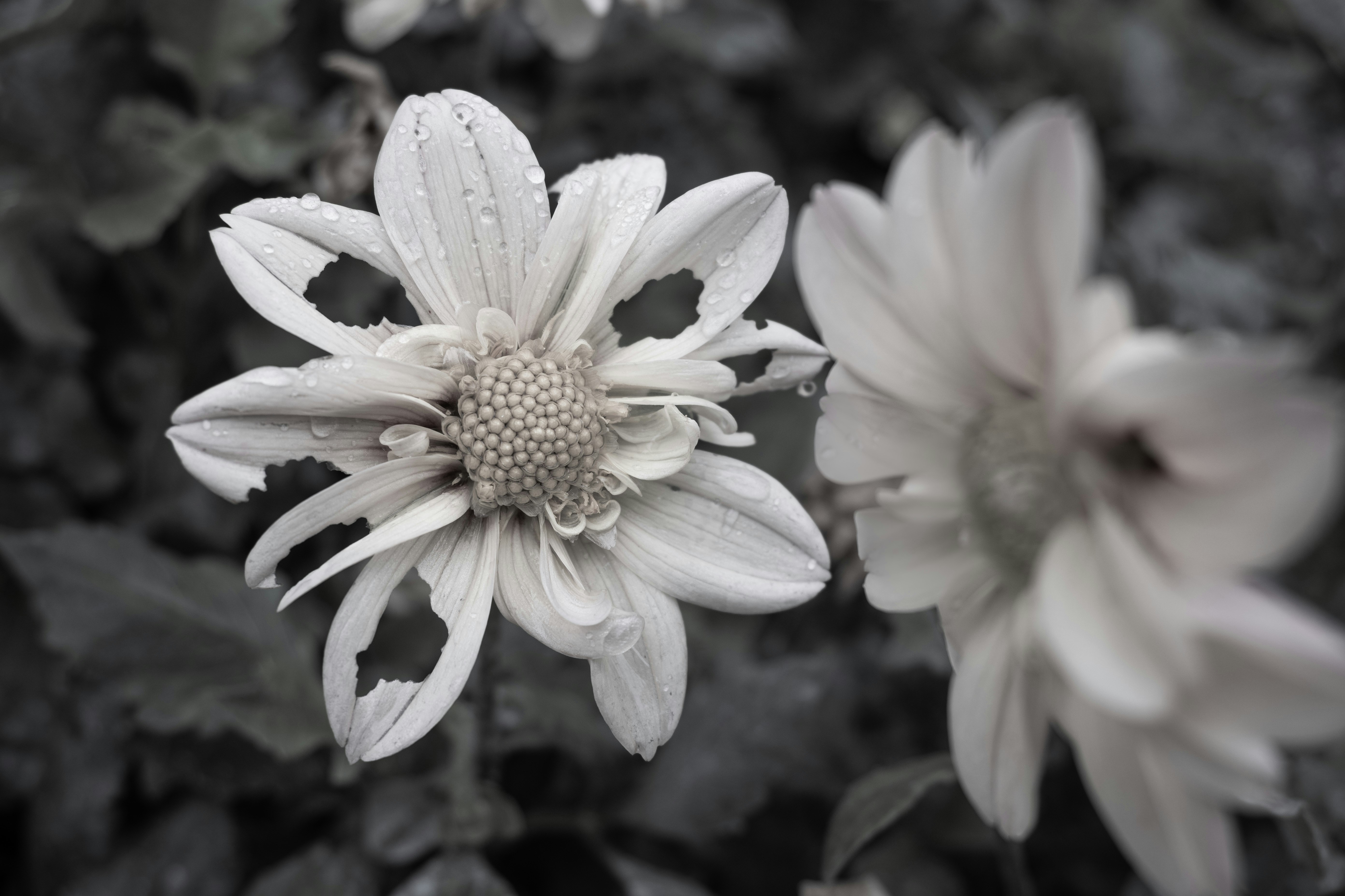 Photo by workingdeluna