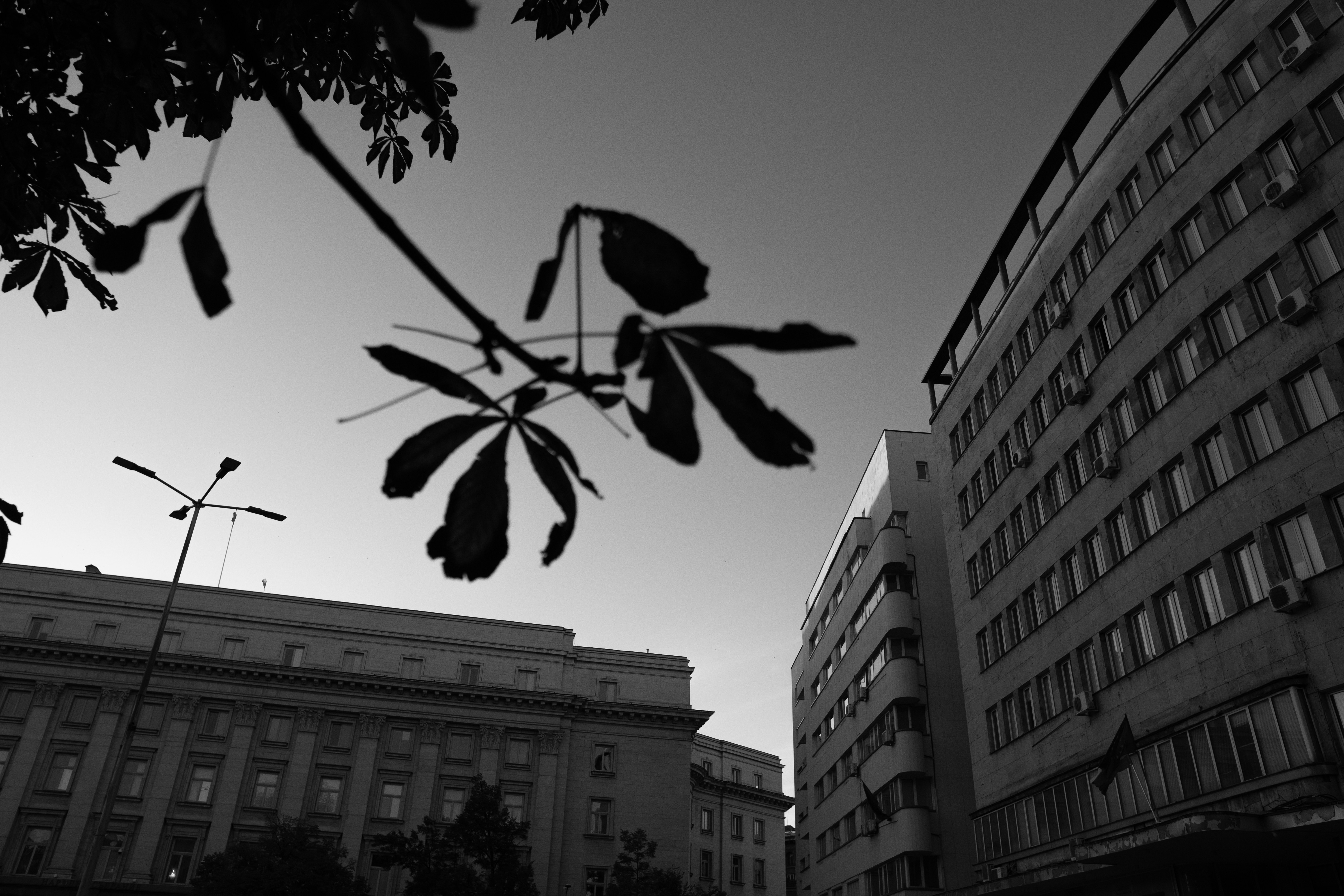 Budget Travel Guide to Sofia (2026)