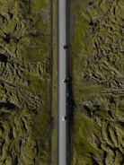 An aerial view of a road in the middle of a field