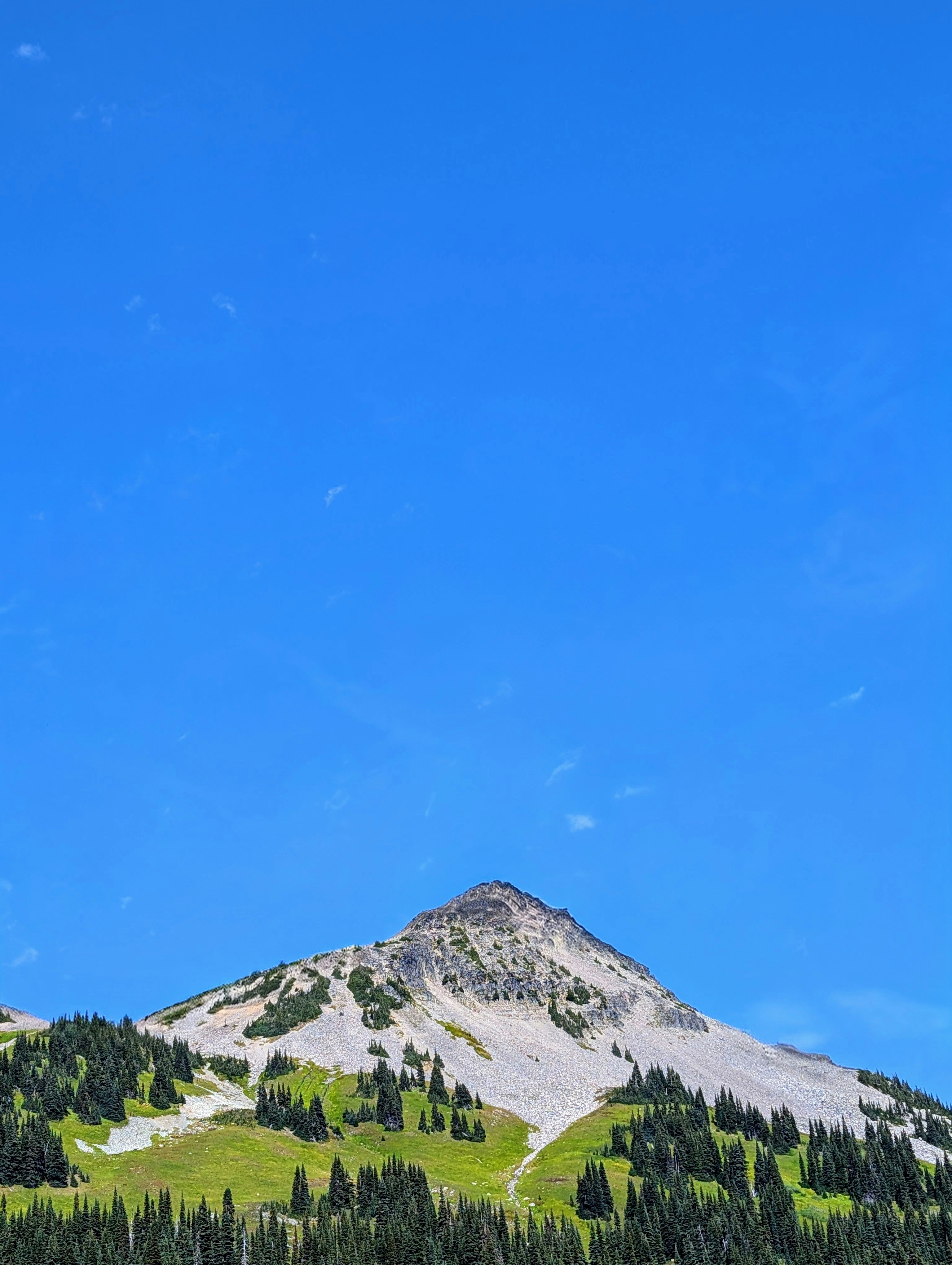 Photo by holychicken99