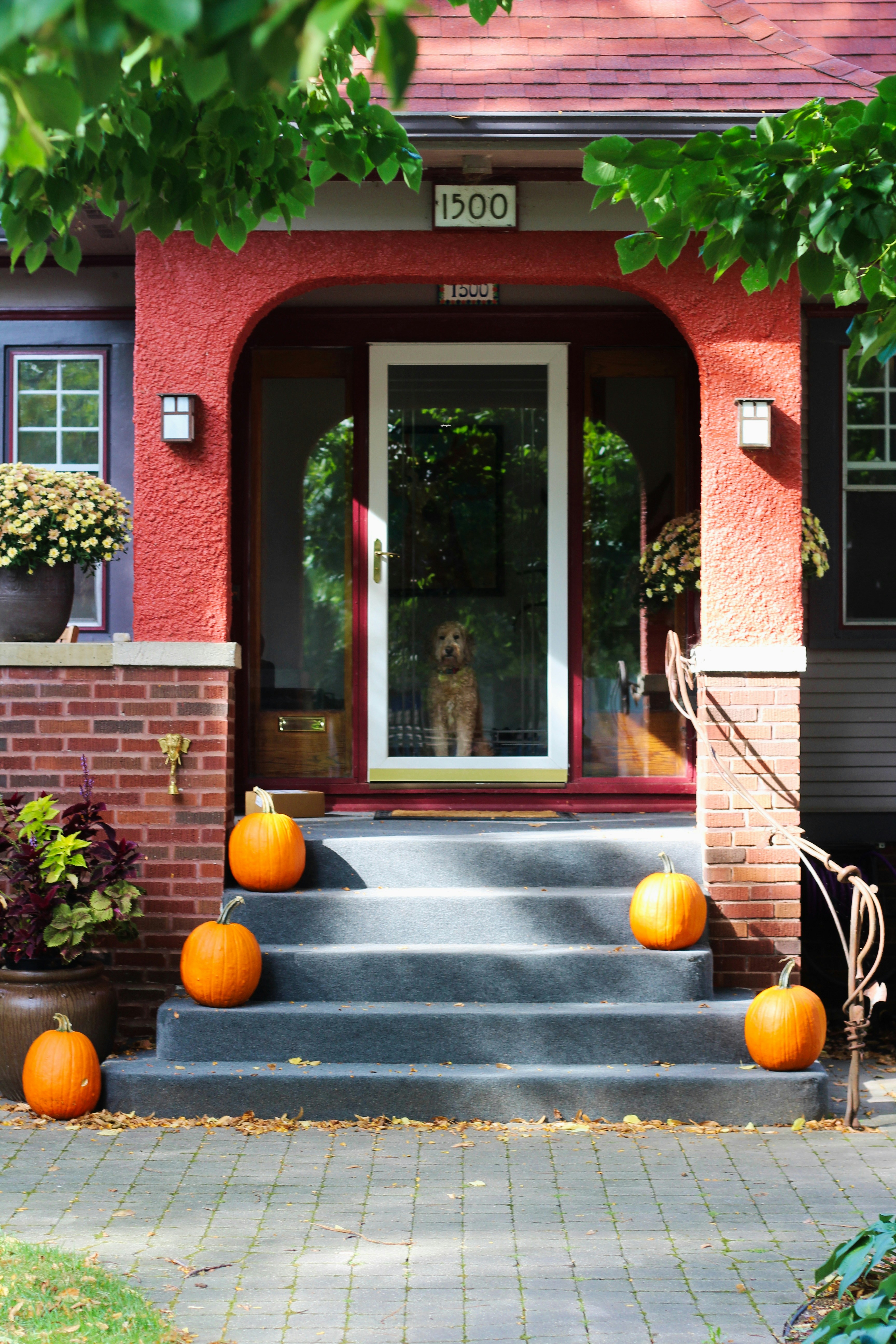 A brick house with pumpkins on the steps