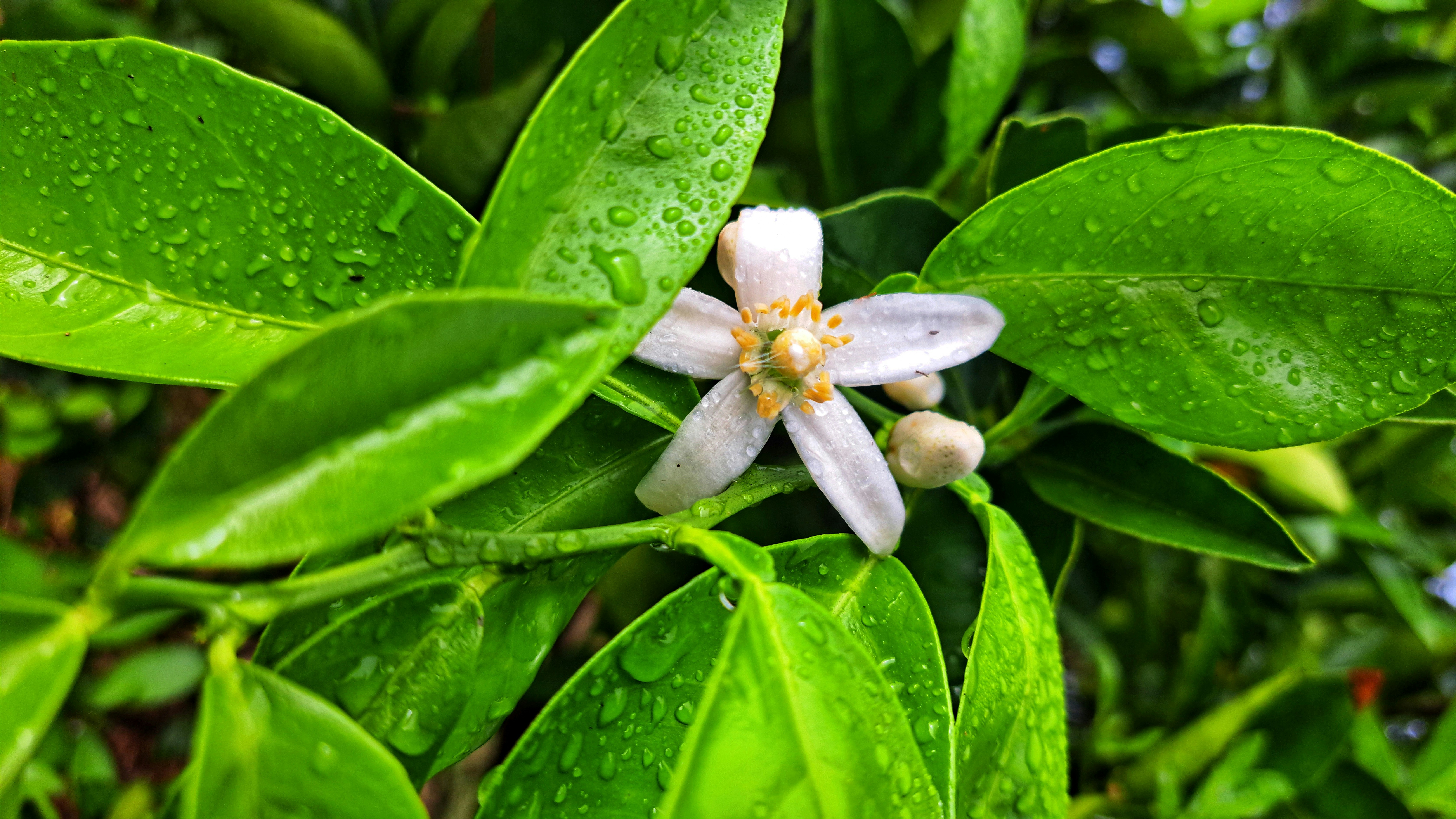 Supportive Value Chain Investments