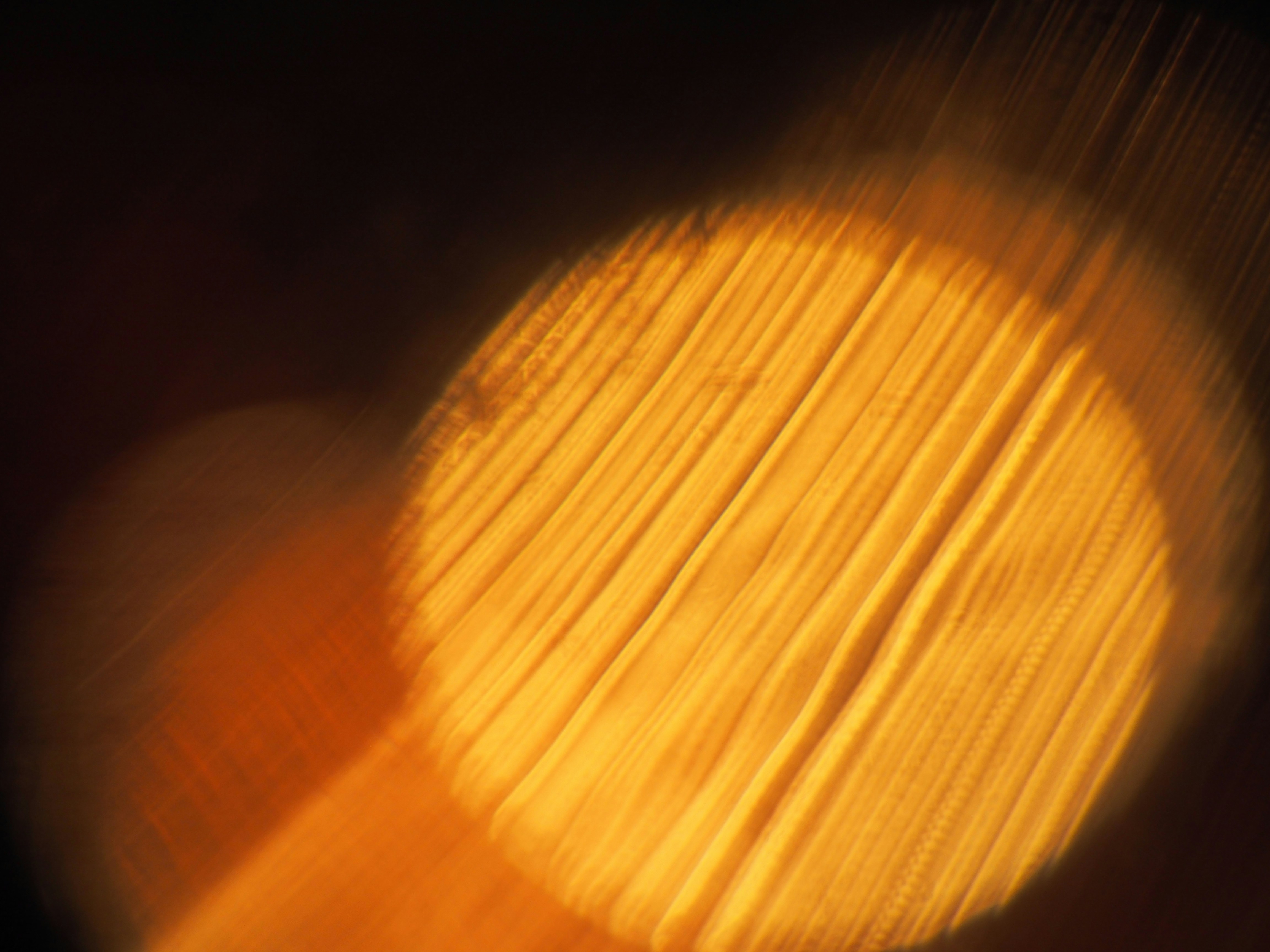 Photo by dmitry_vereykin