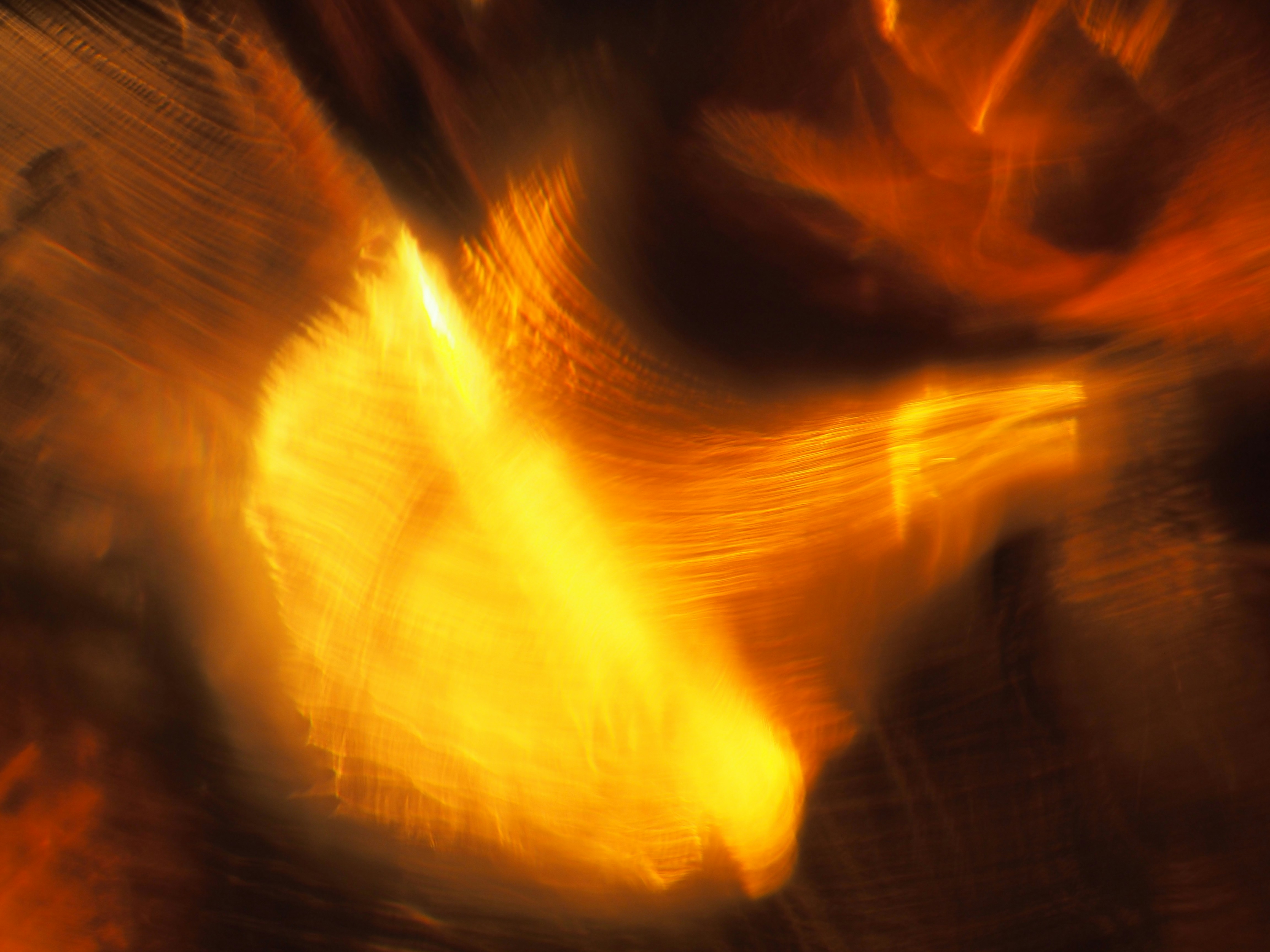 Photo by dmitry_vereykin