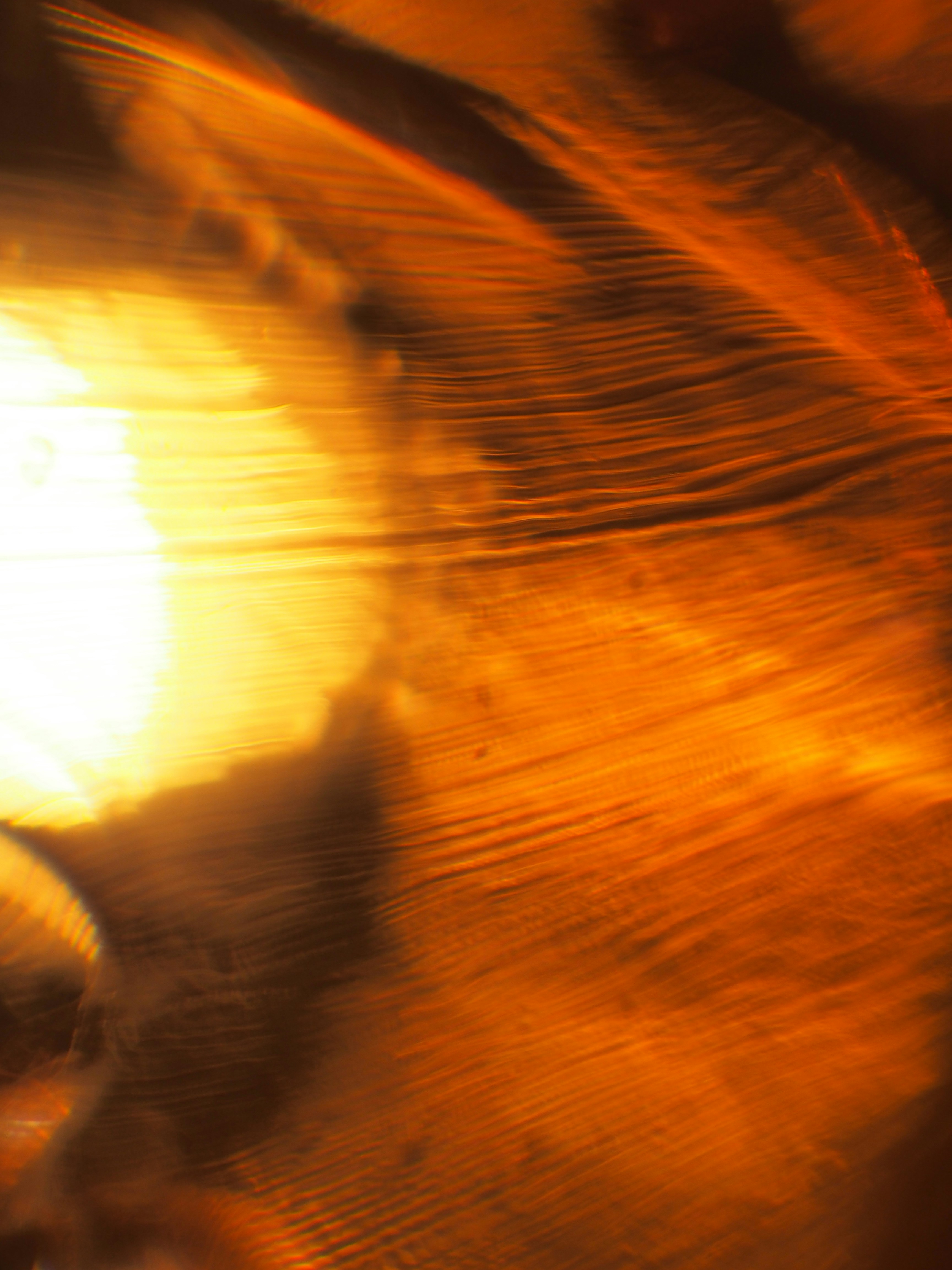 Photo by dmitry_vereykin