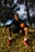 A man sitting in the grass with a basketball