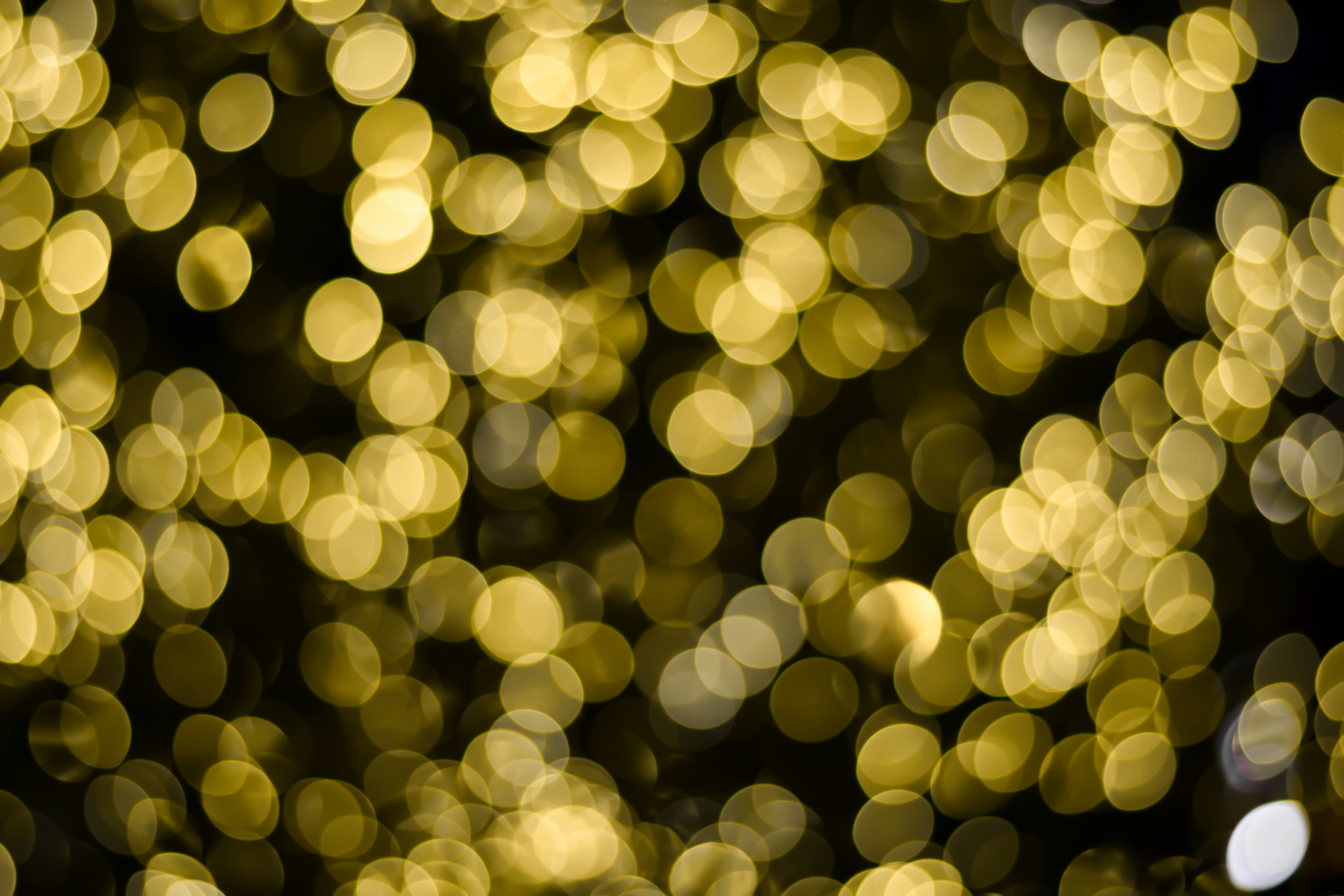 A blurry photo of a tree with many lights