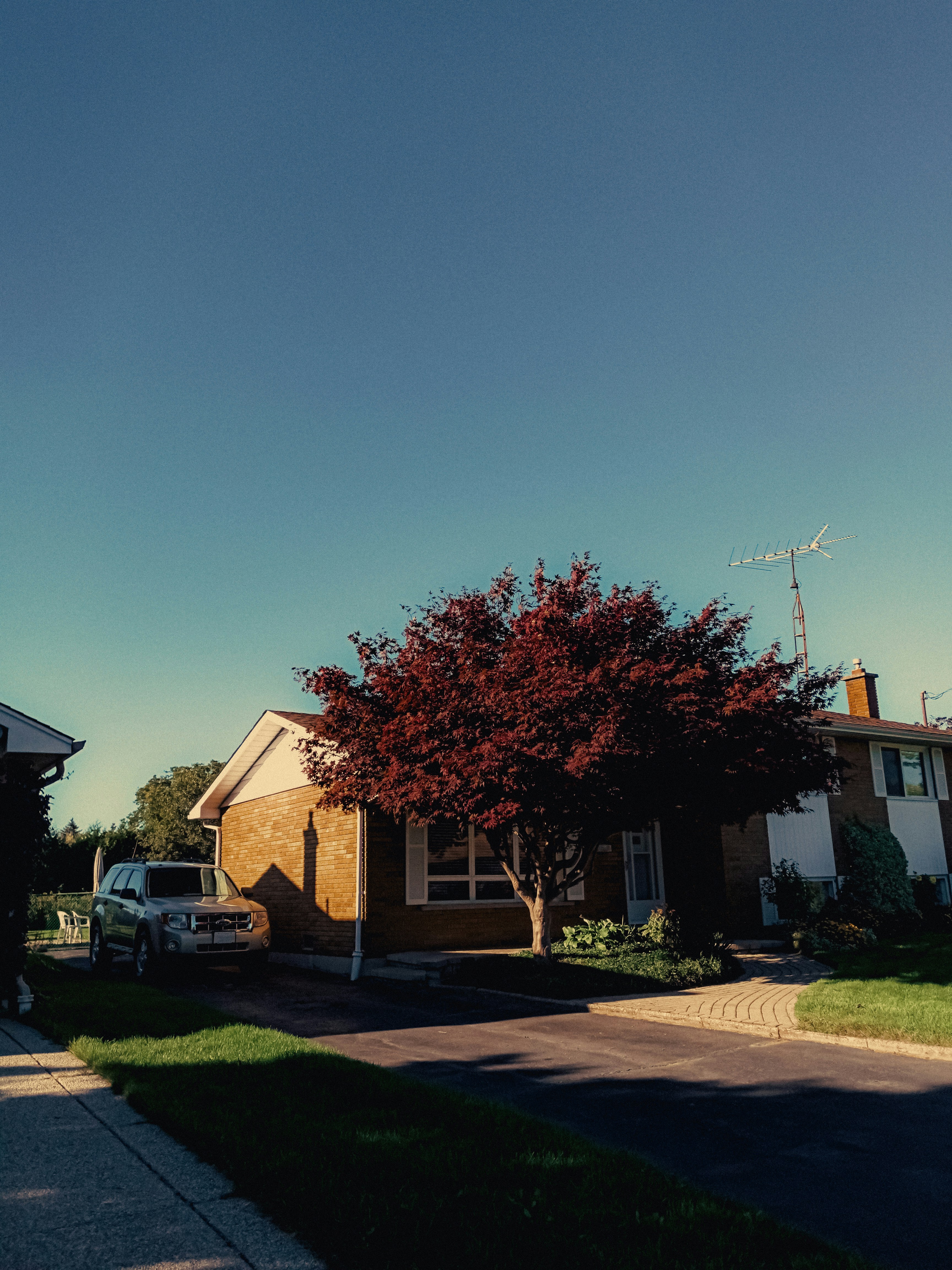 Photo by linusbelanger