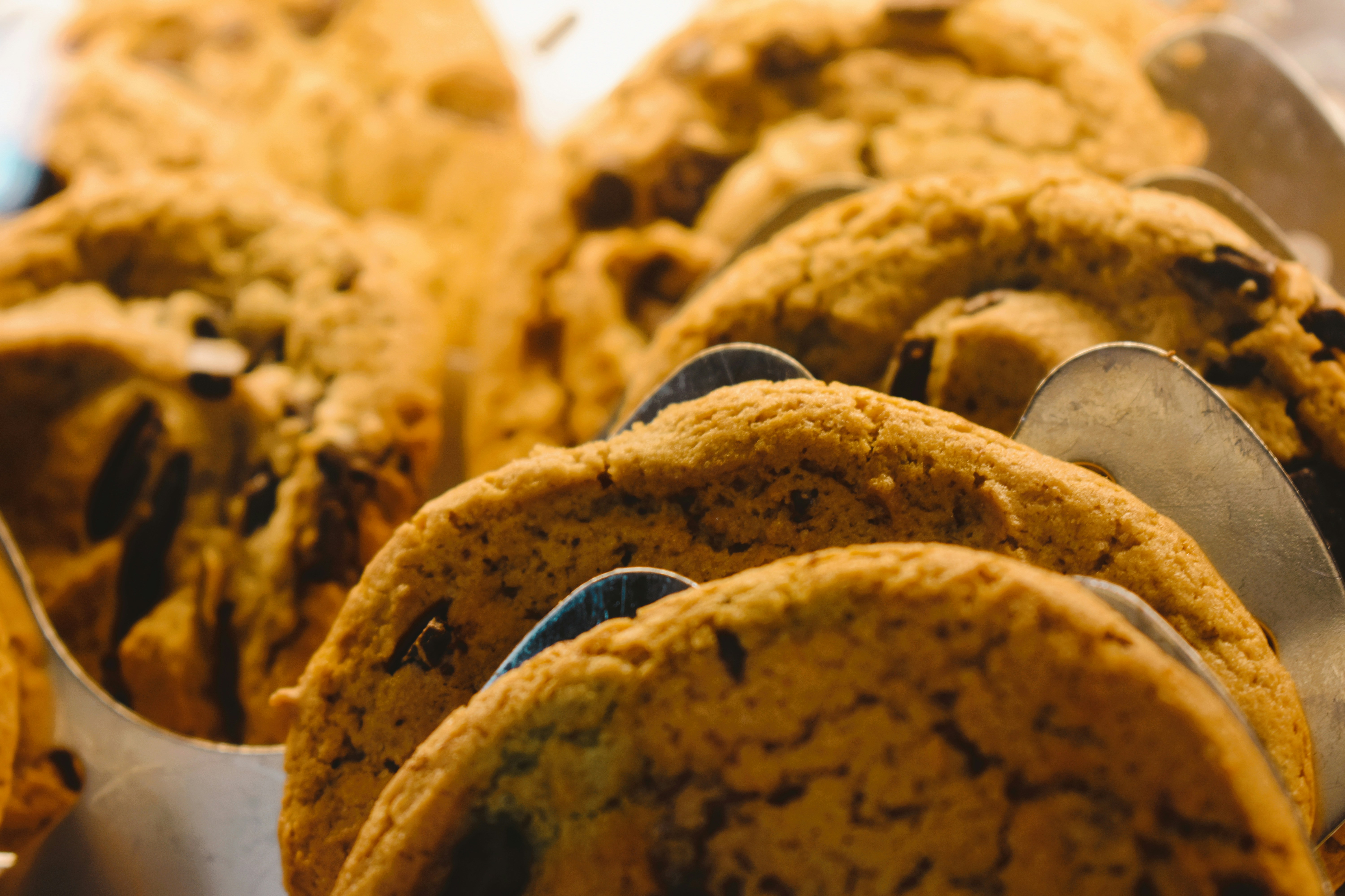 Photo by myshegotripped