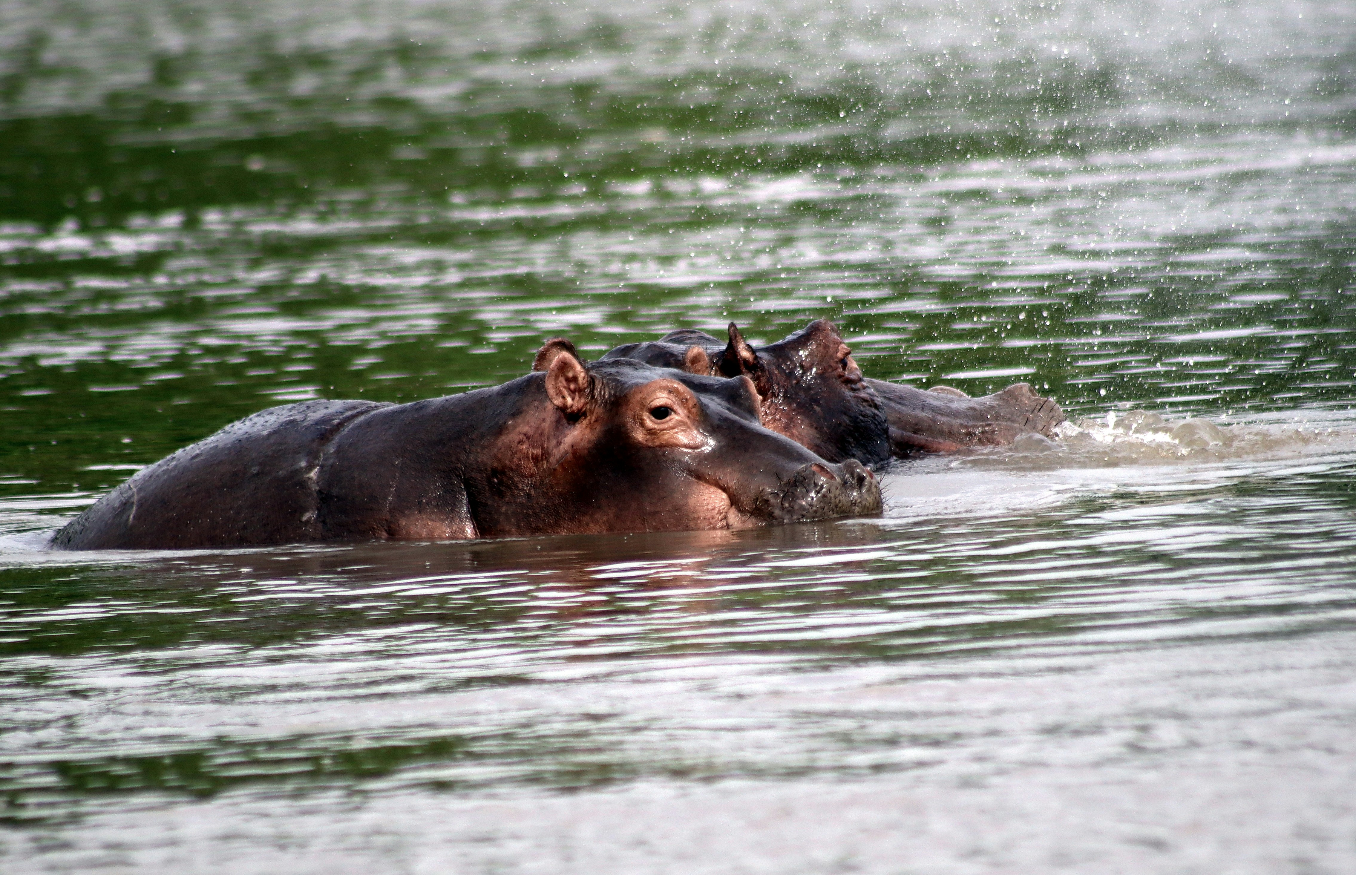 Photo by craigmanners_com