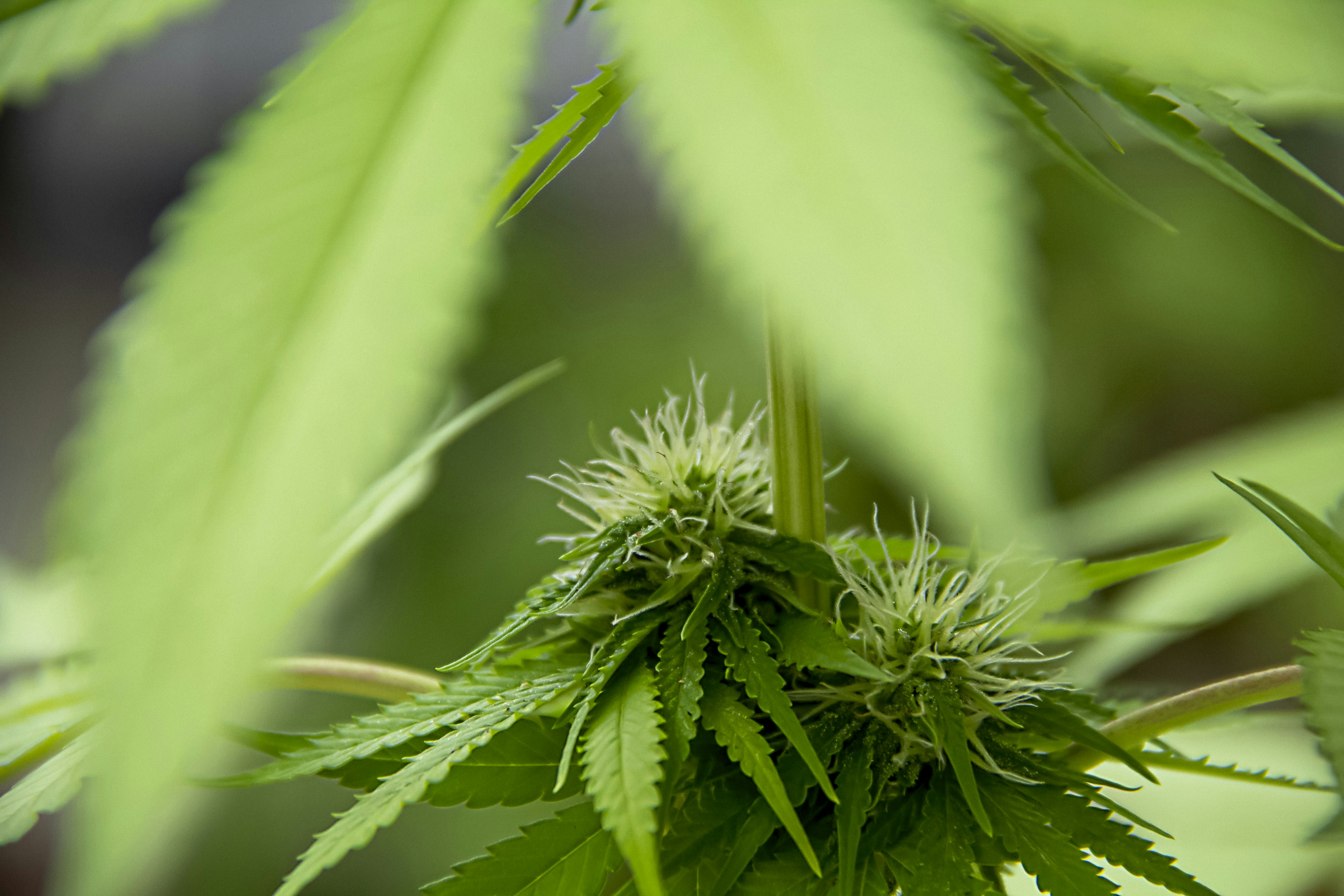 Photo by andresloquesea