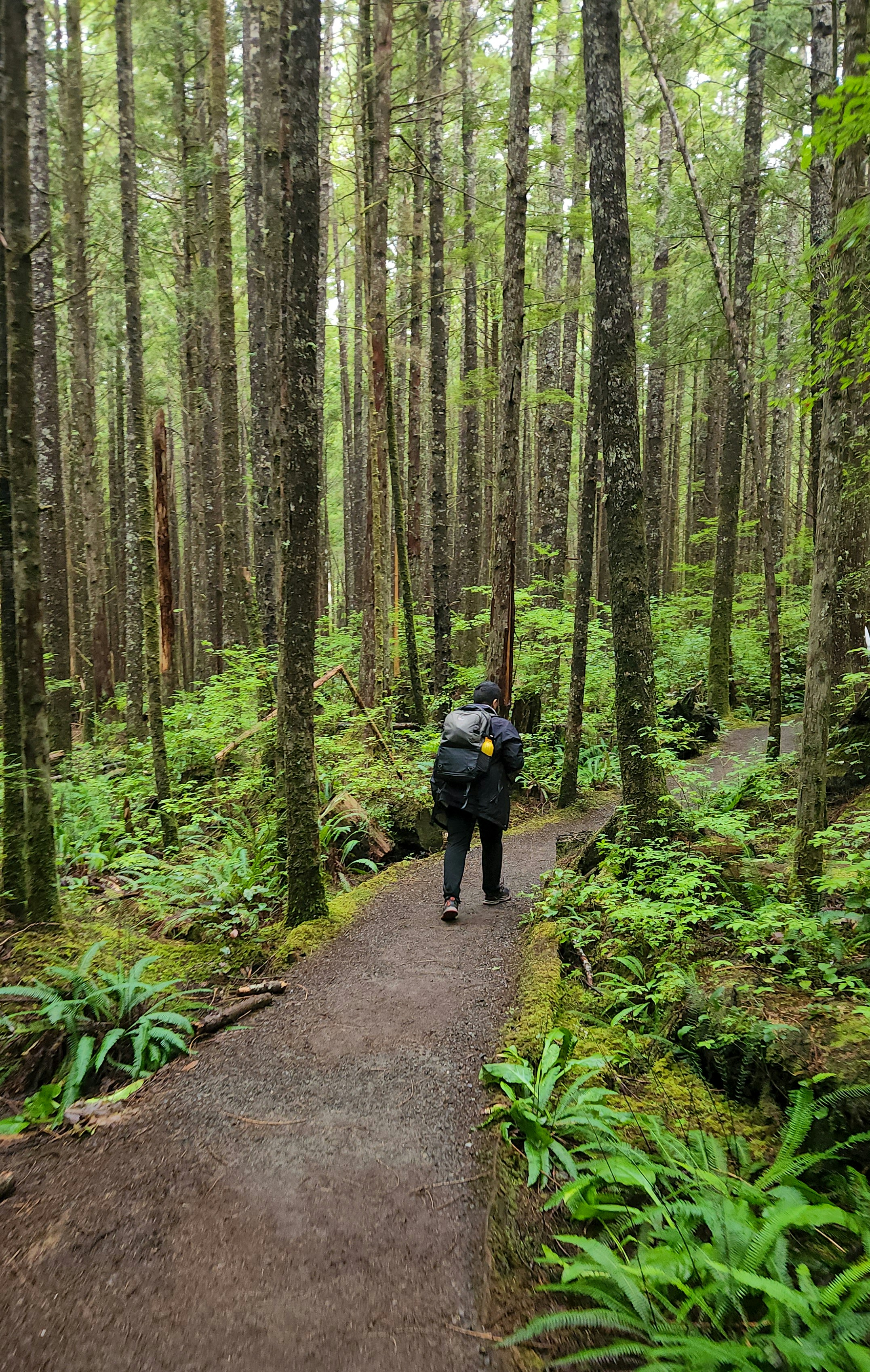 Photo by zoshuacolah