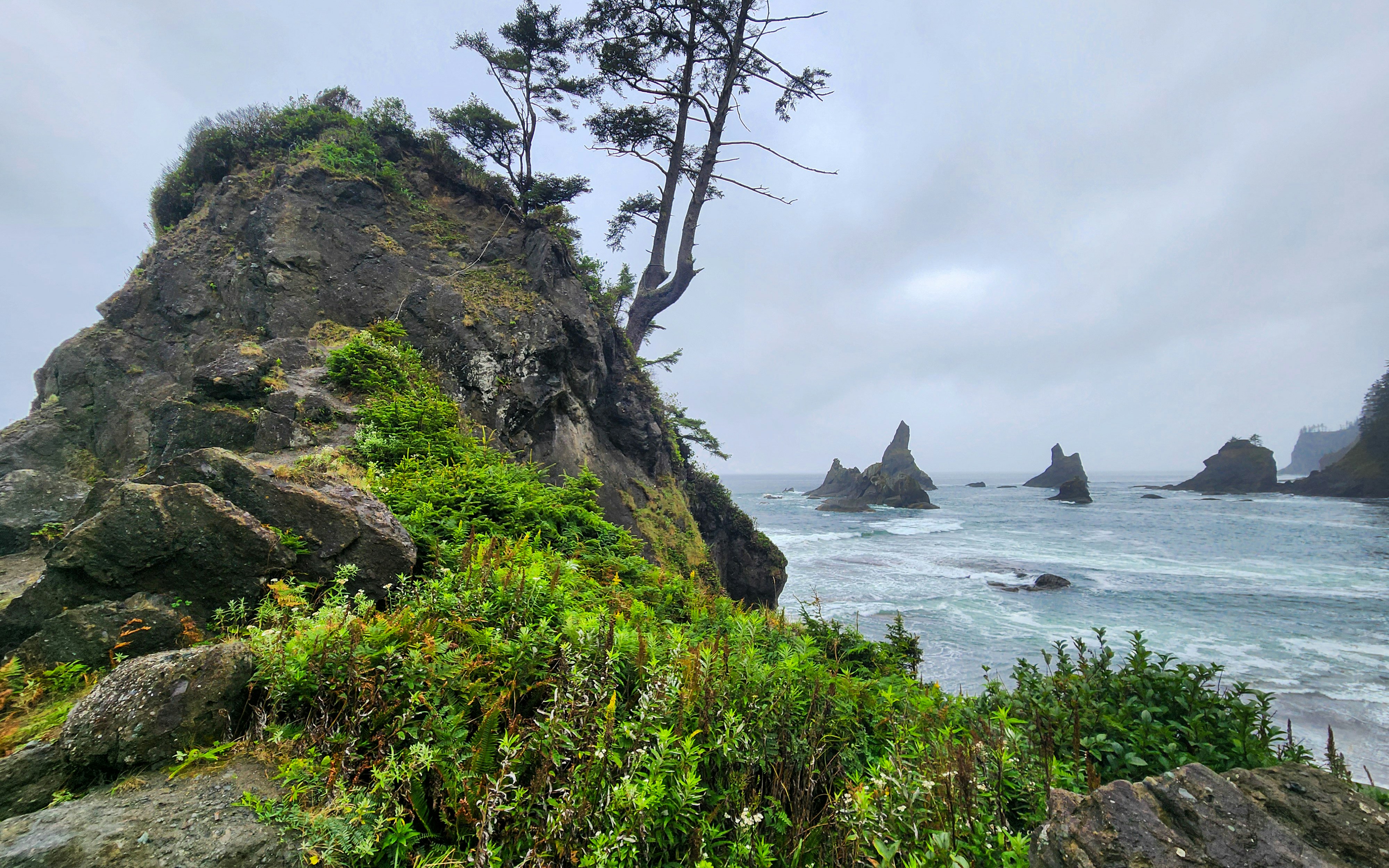 Photo by zoshuacolah