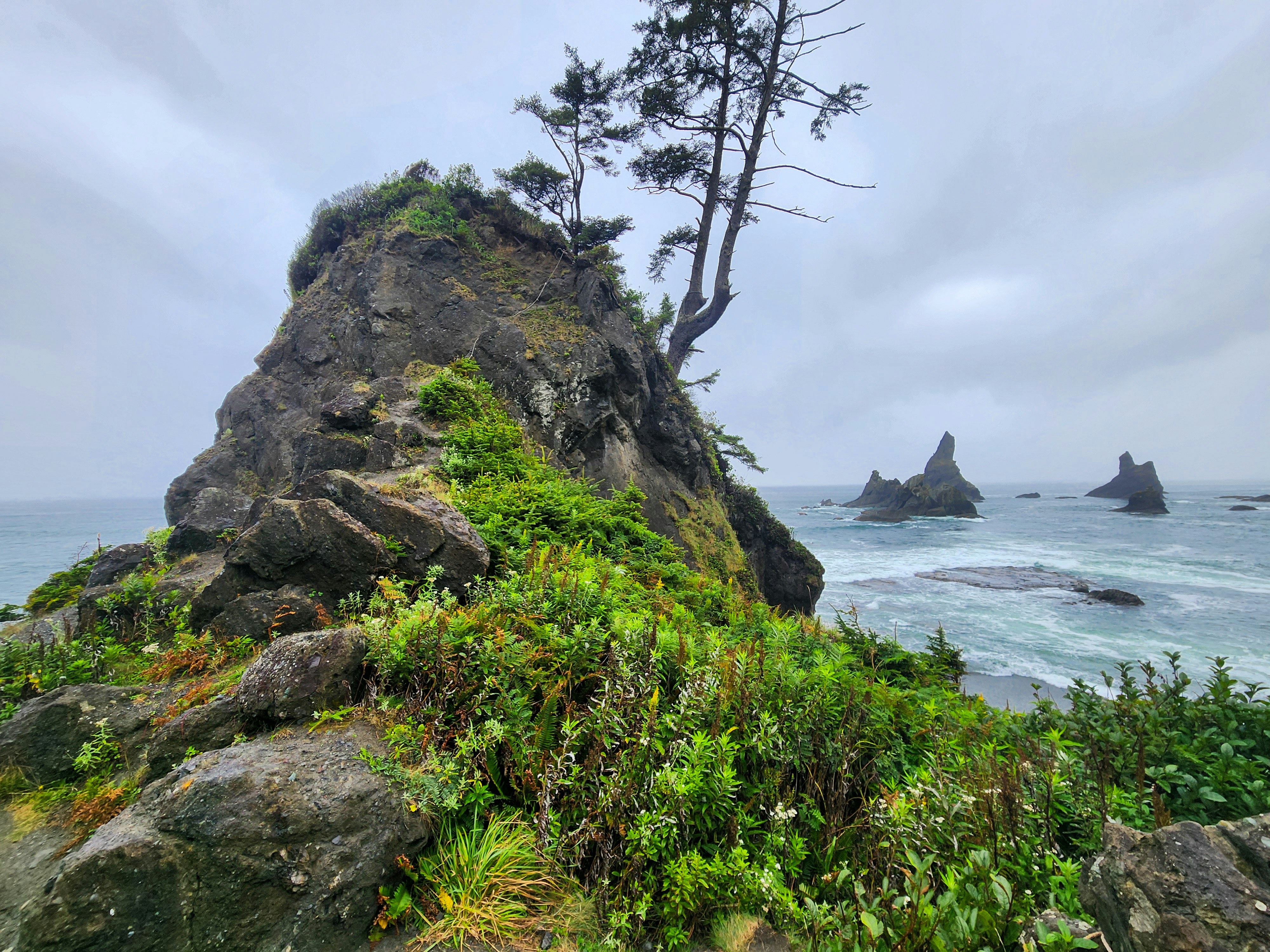 Photo by zoshuacolah