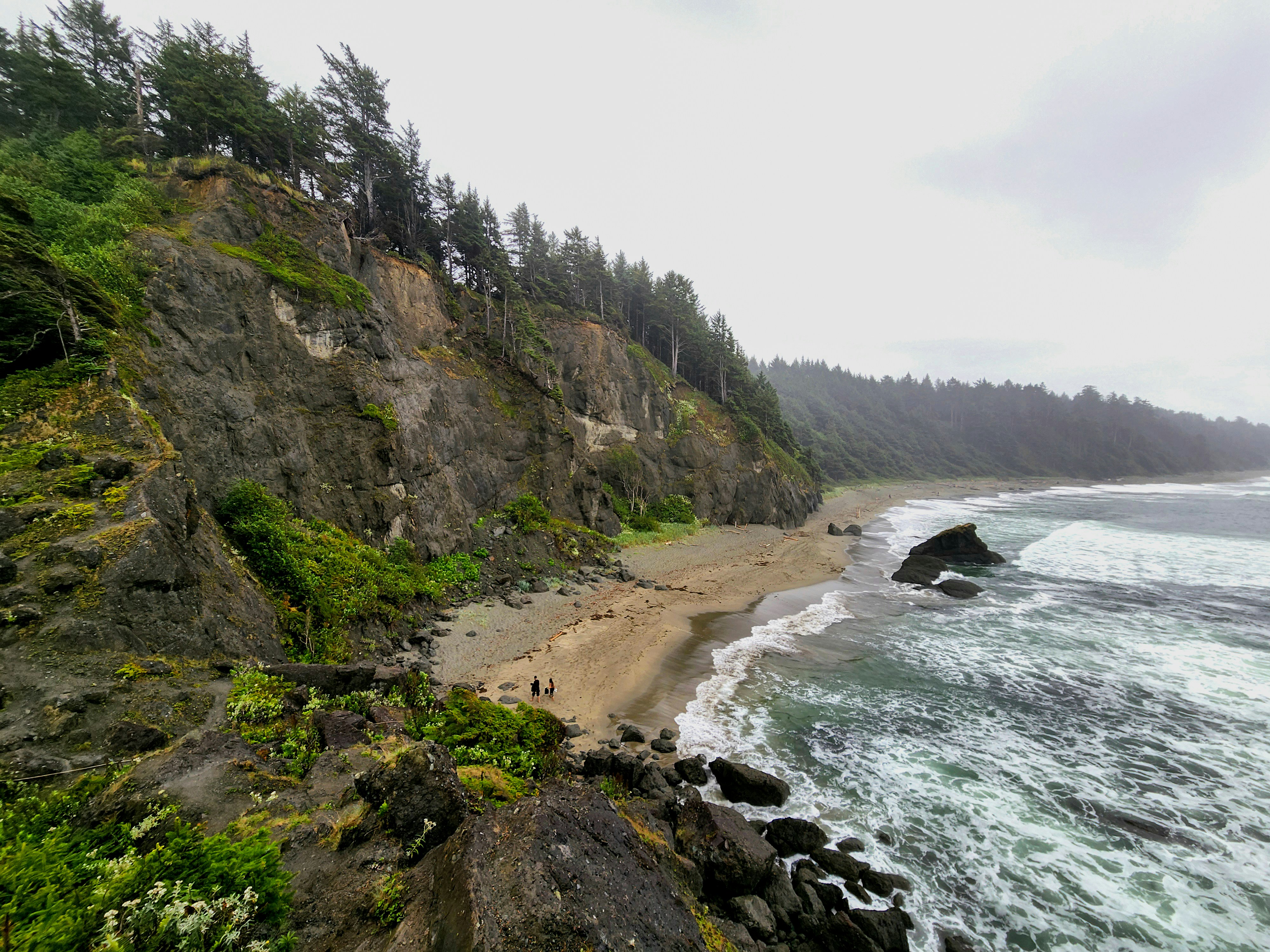 The Future of Hands-Off Conservation (image credits: unsplash)