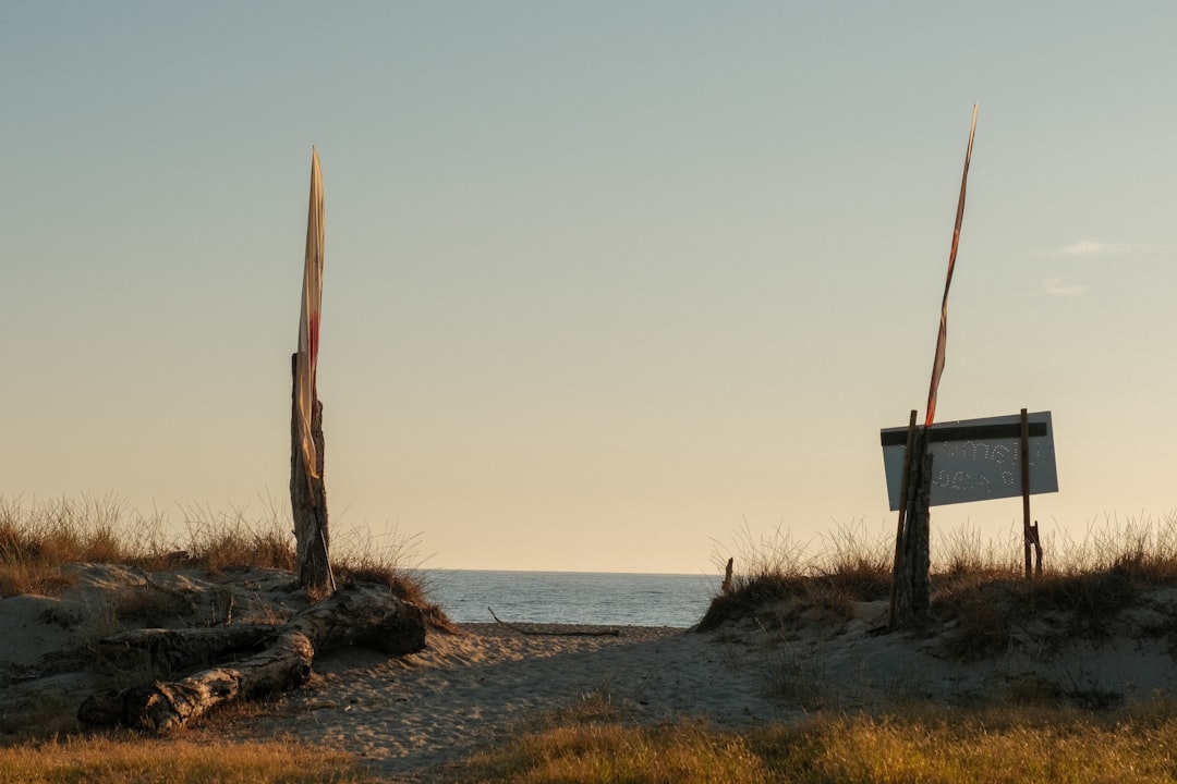 There is a sign in the grass by the beach