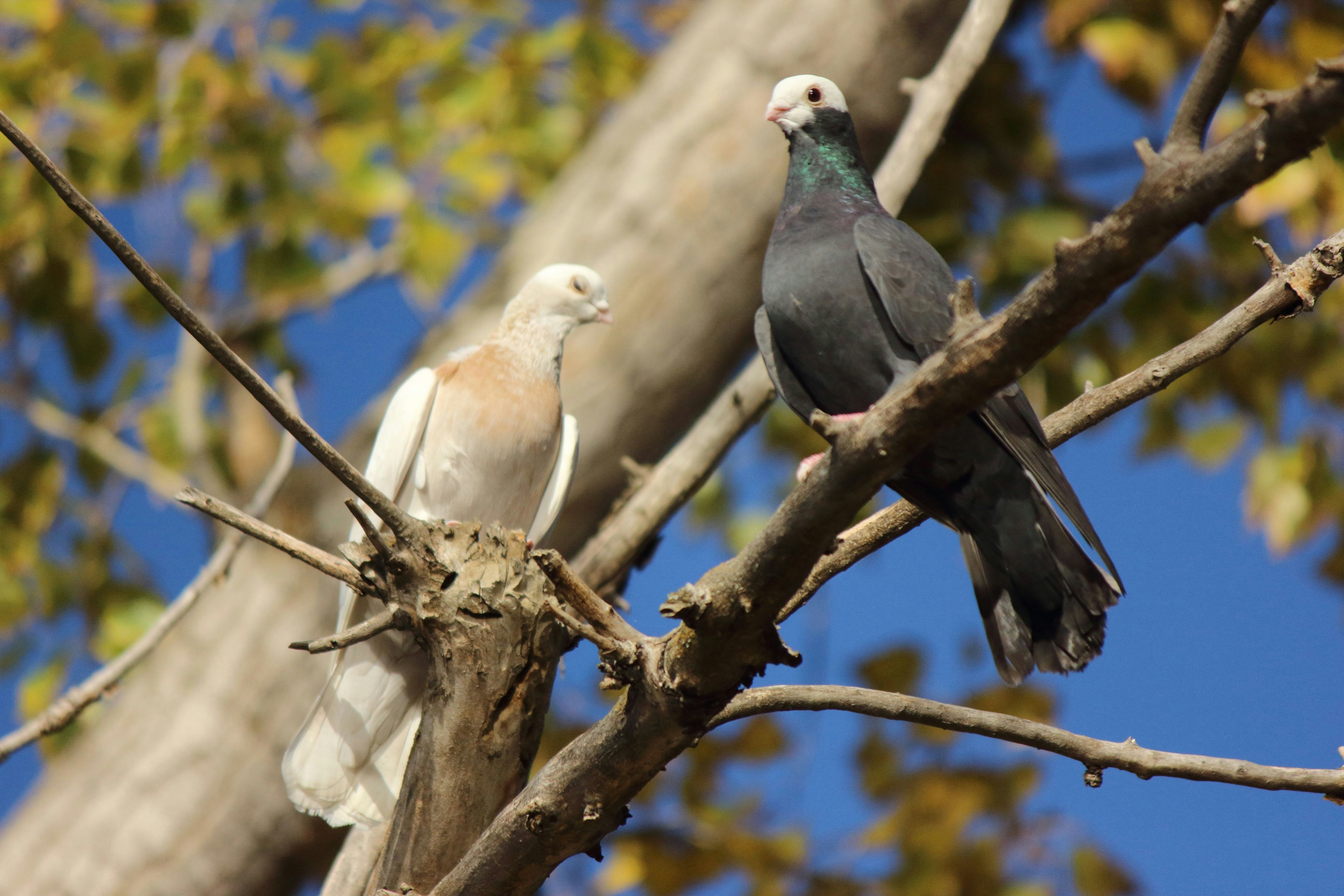 Photo by cengizozarpat