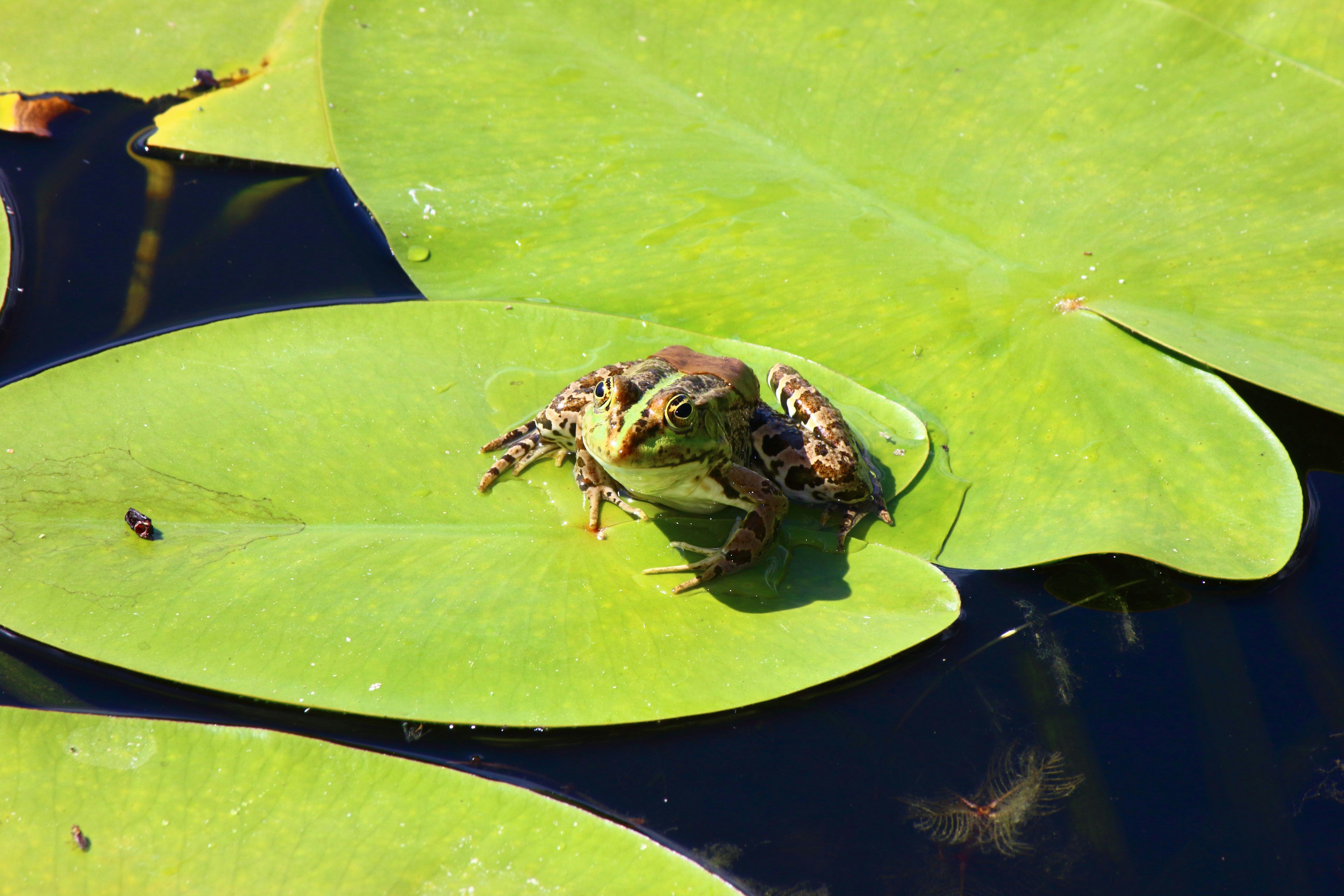 Photo by cengizozarpat