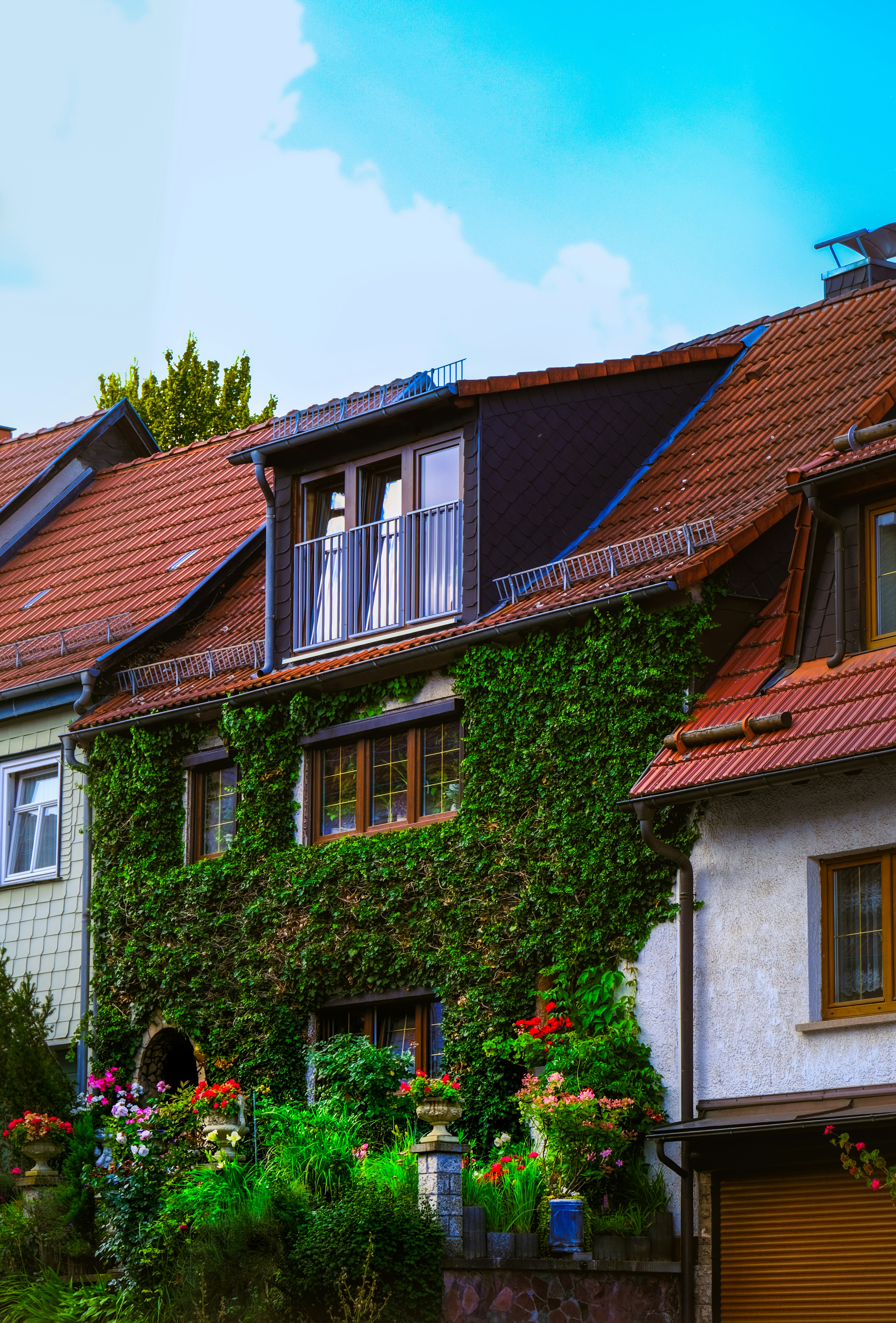 Photo by denisaficau