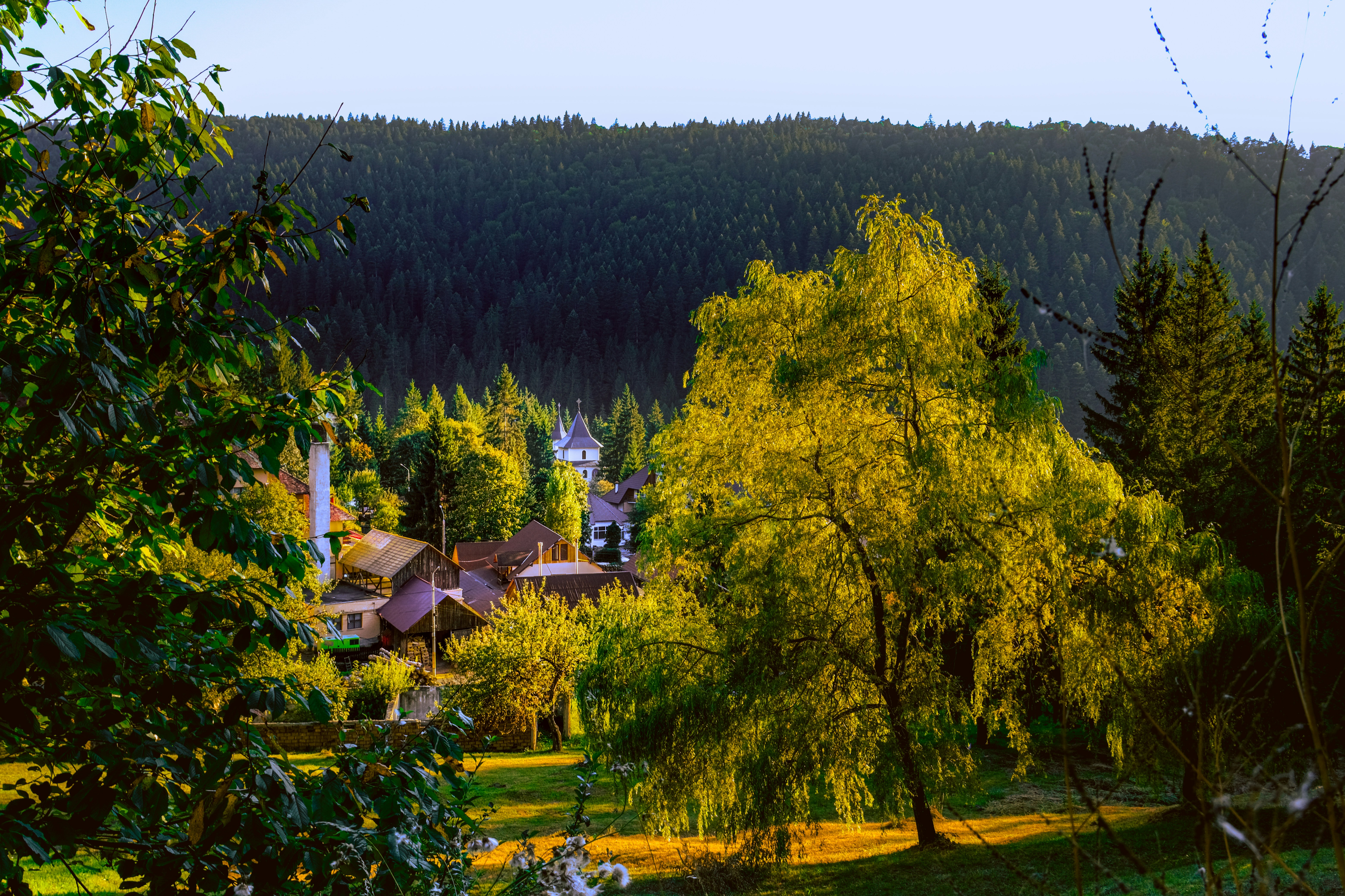 Photo by denisaficau