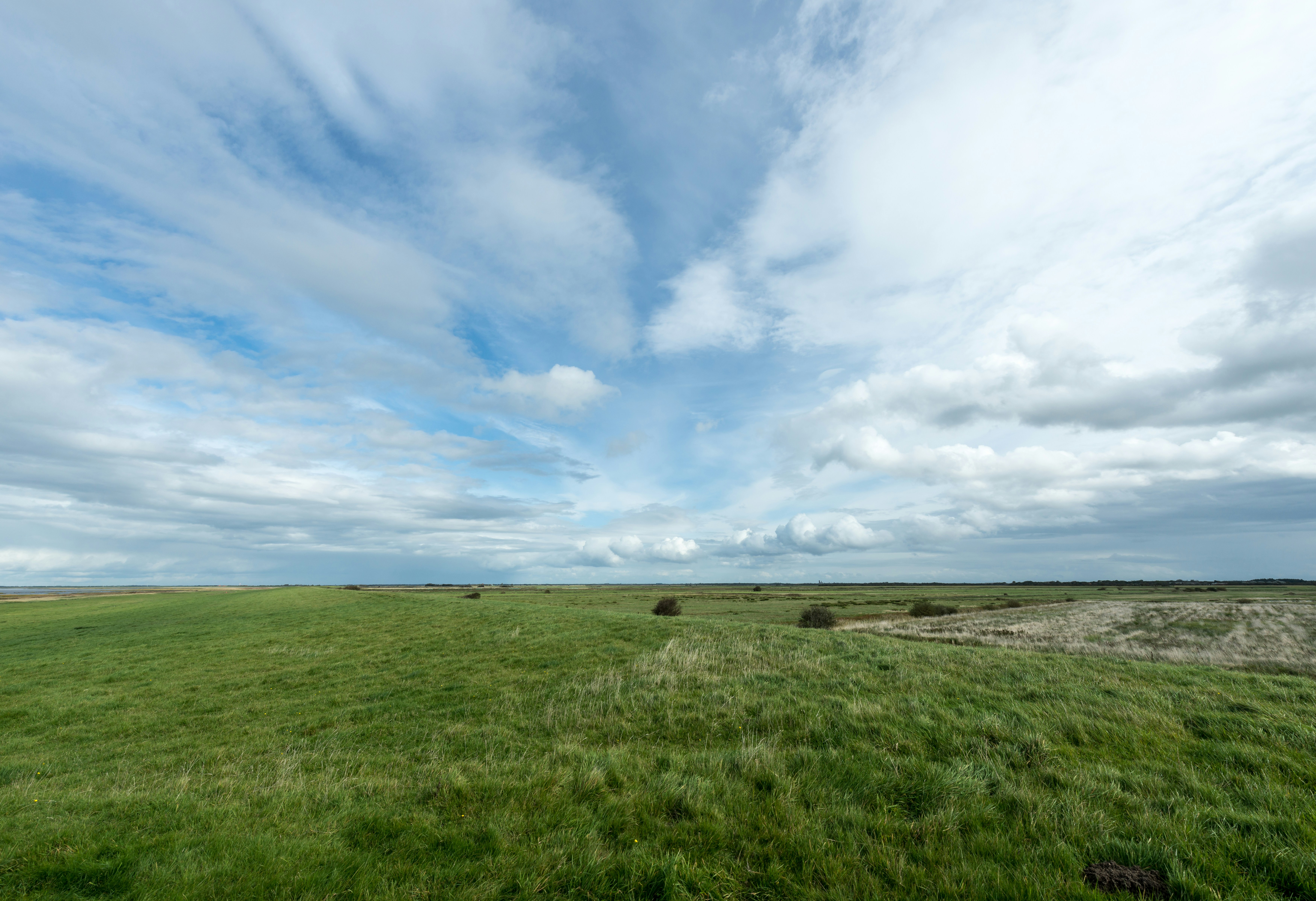 Photo by hamburgmeinefreundin