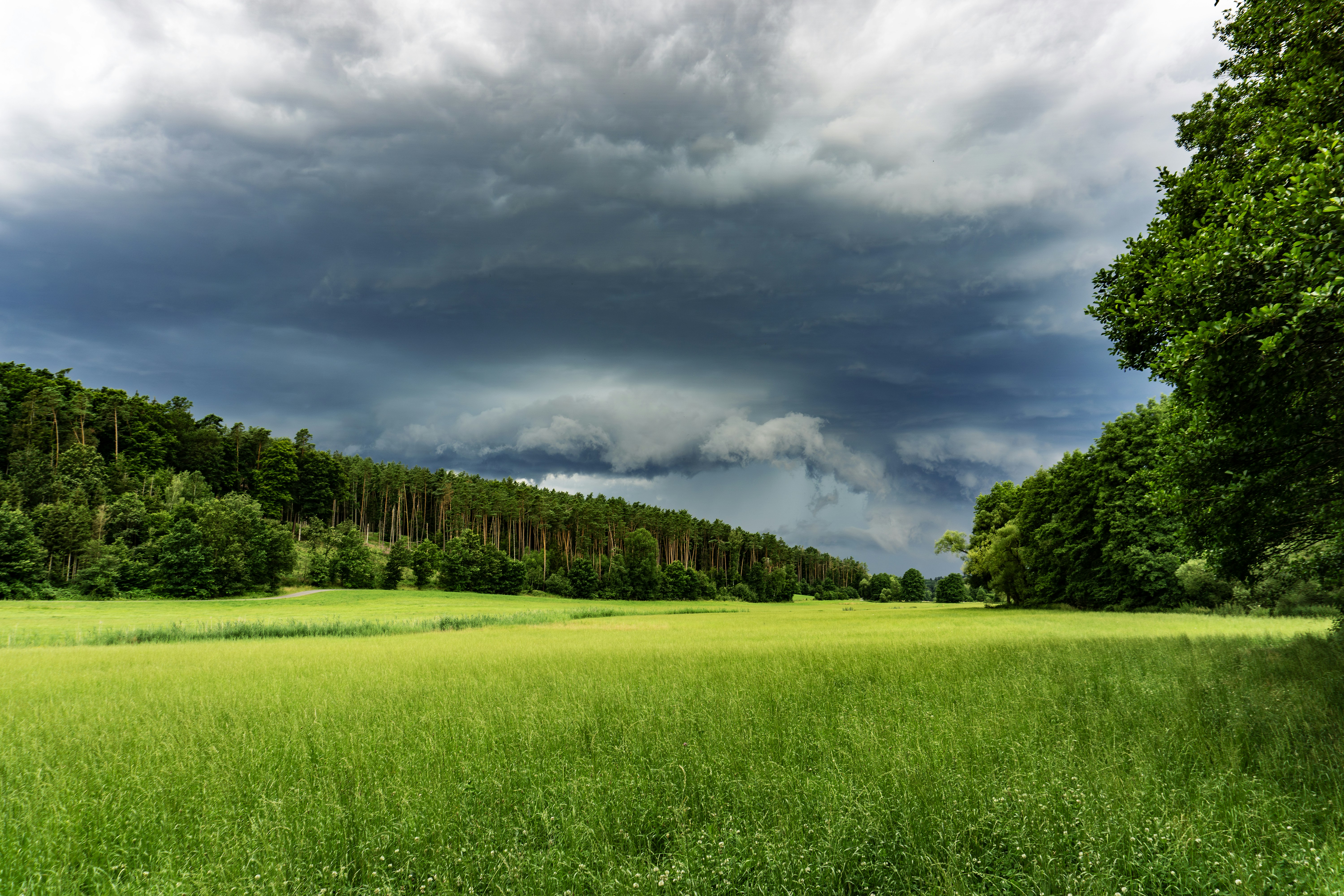 A green field with trees and clouds in the background