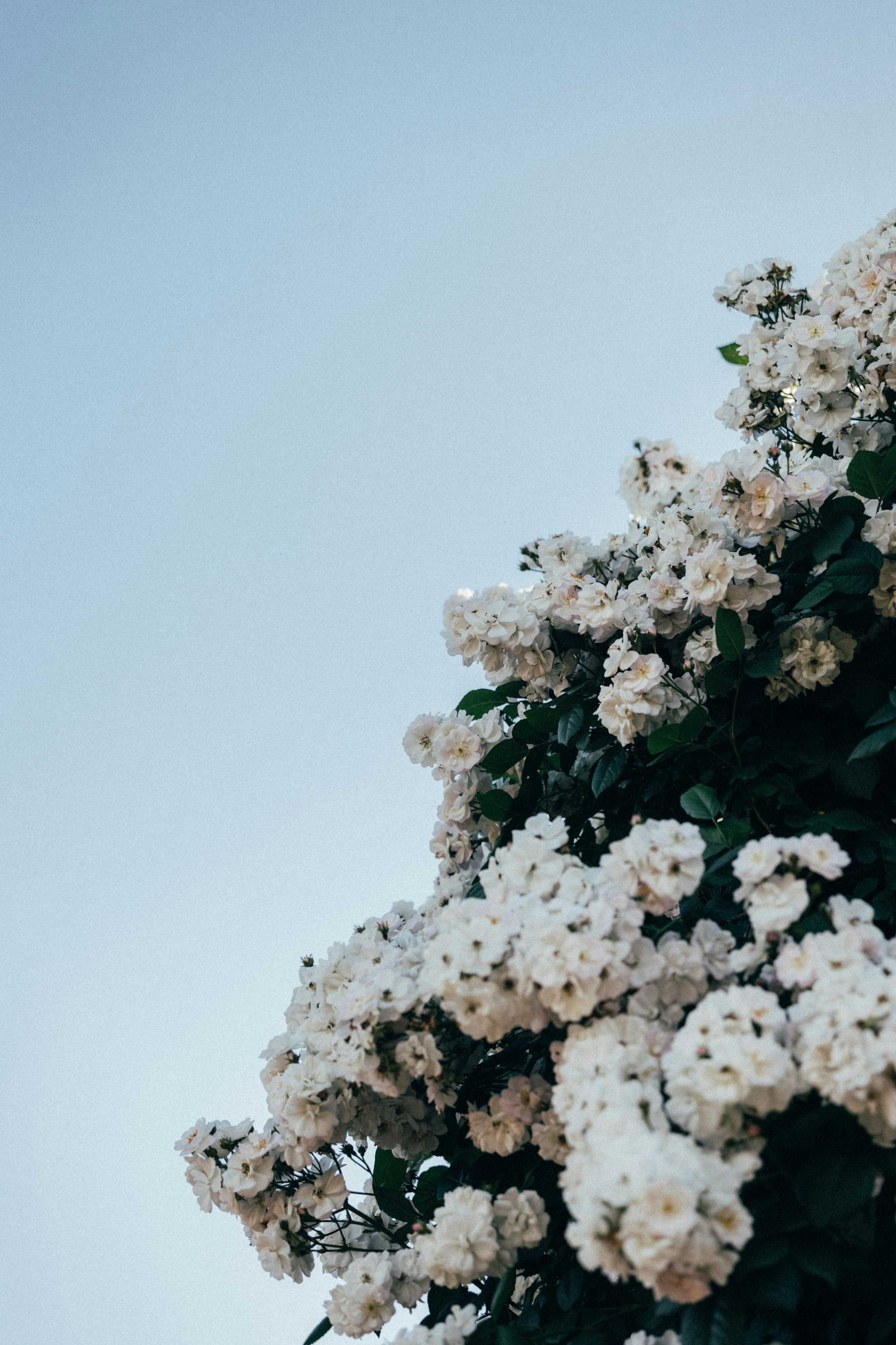 Photo by tsuyoshikozu