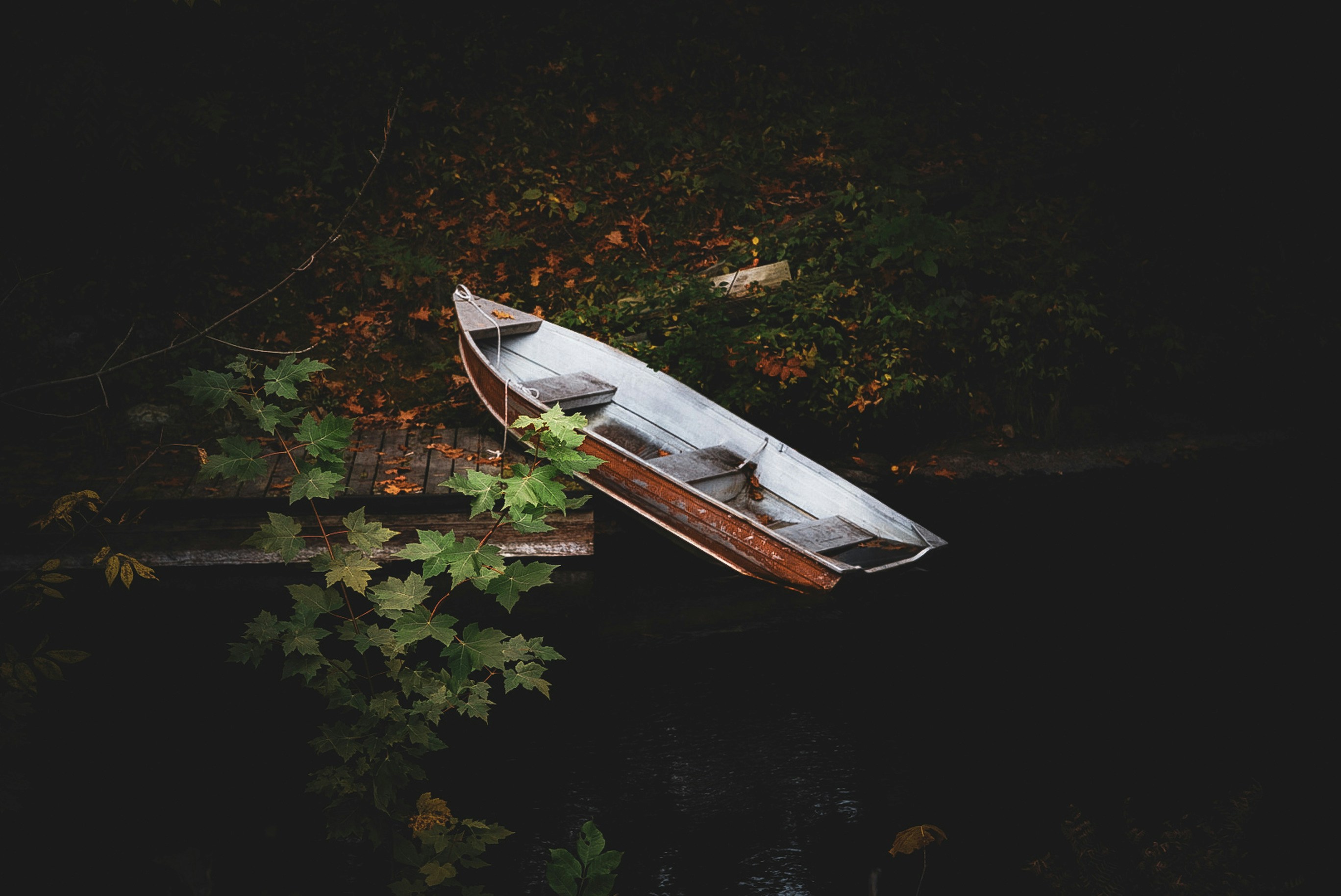 Photo by meri_vasilevski