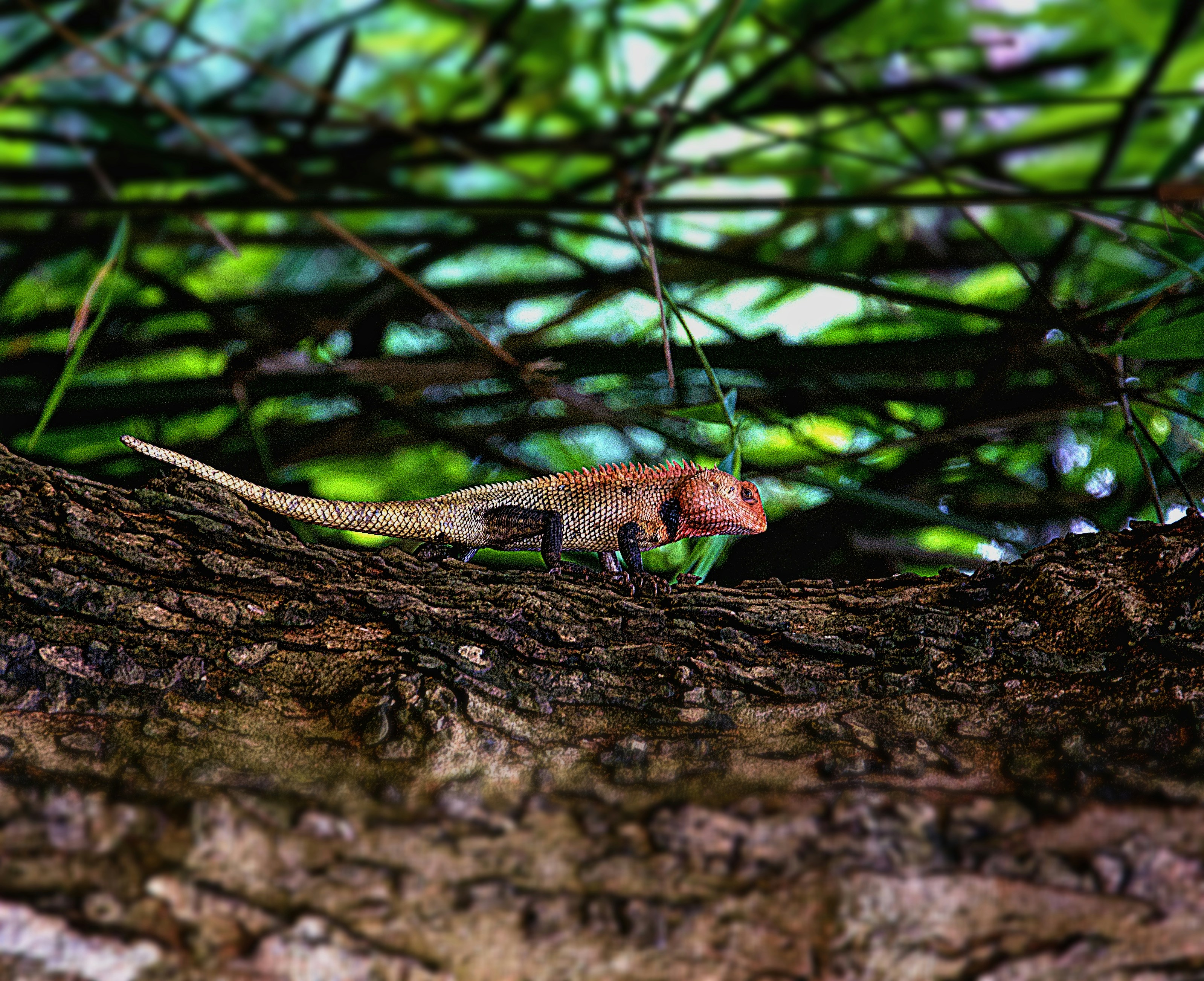 A small animal sitting on top of a tree branch