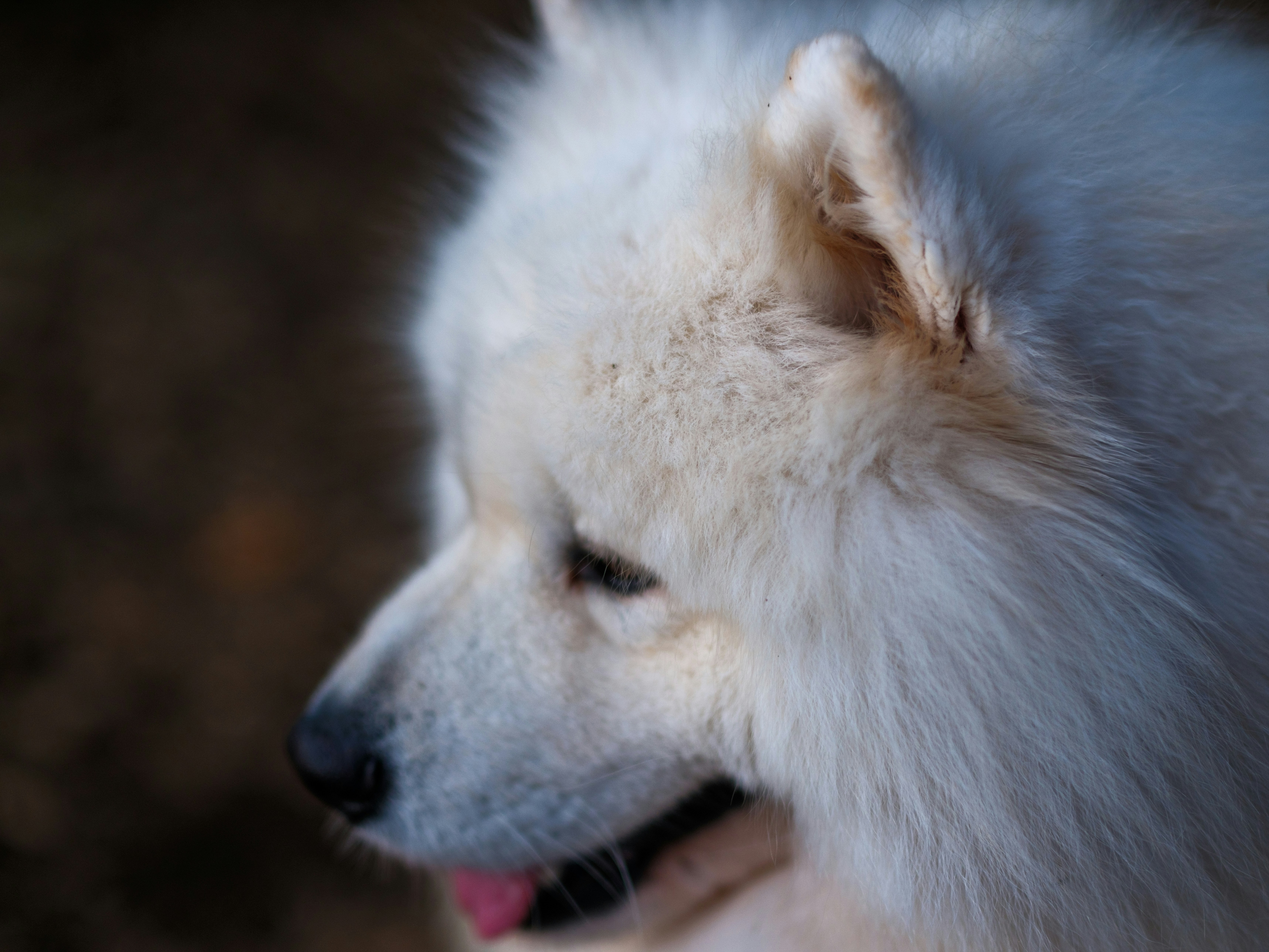 Photo by haberdoedas