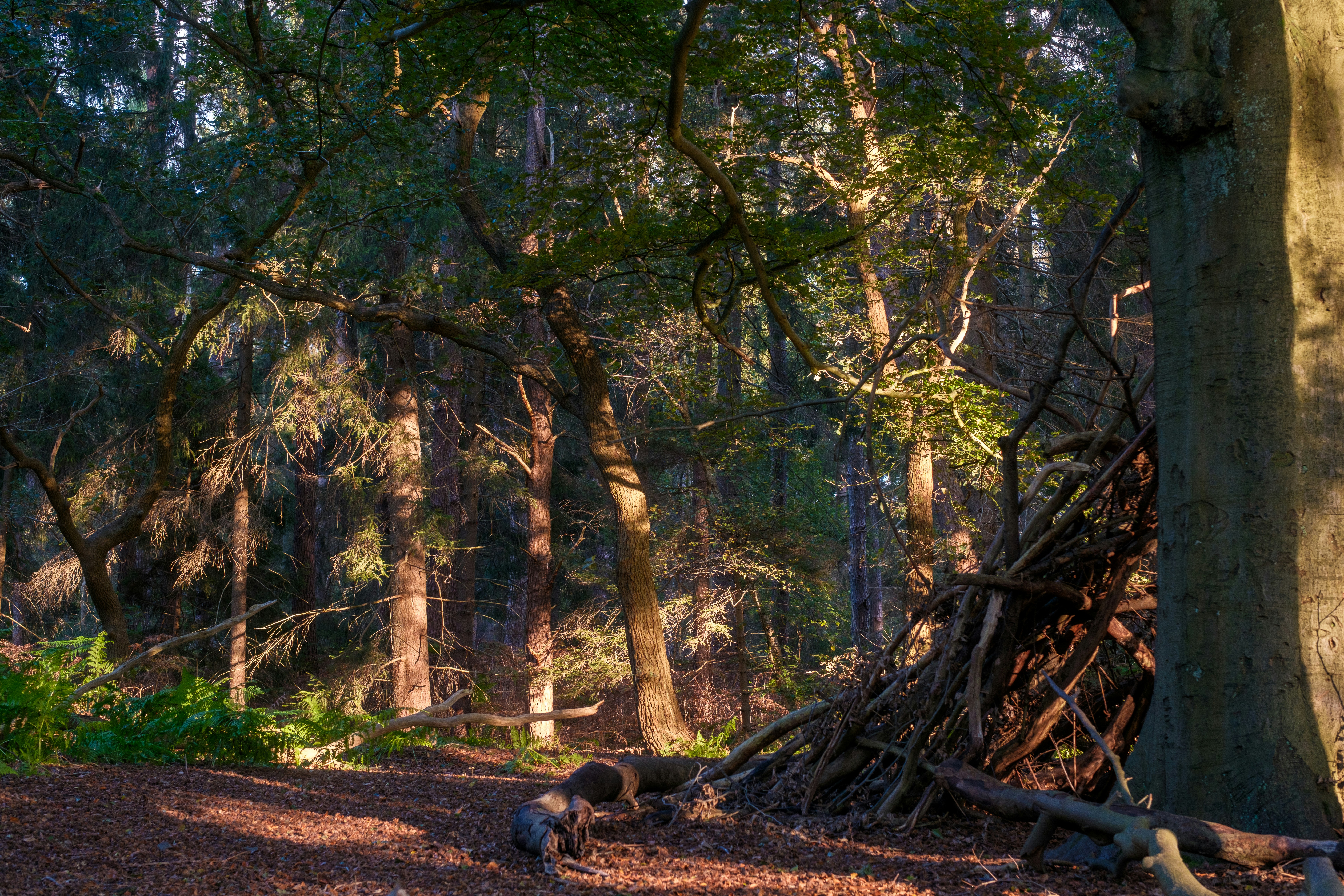 Photo by haberdoedas