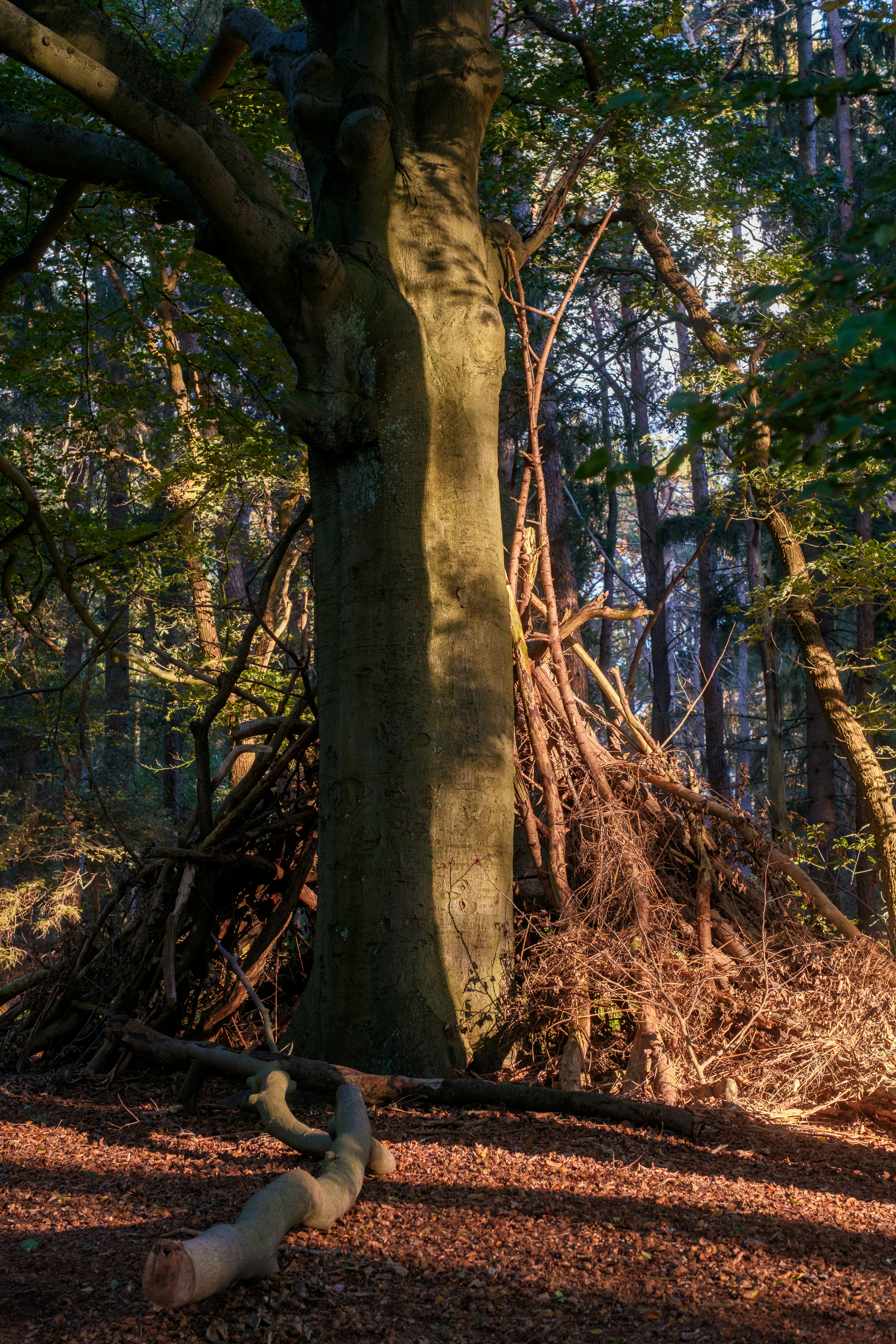 Photo by haberdoedas