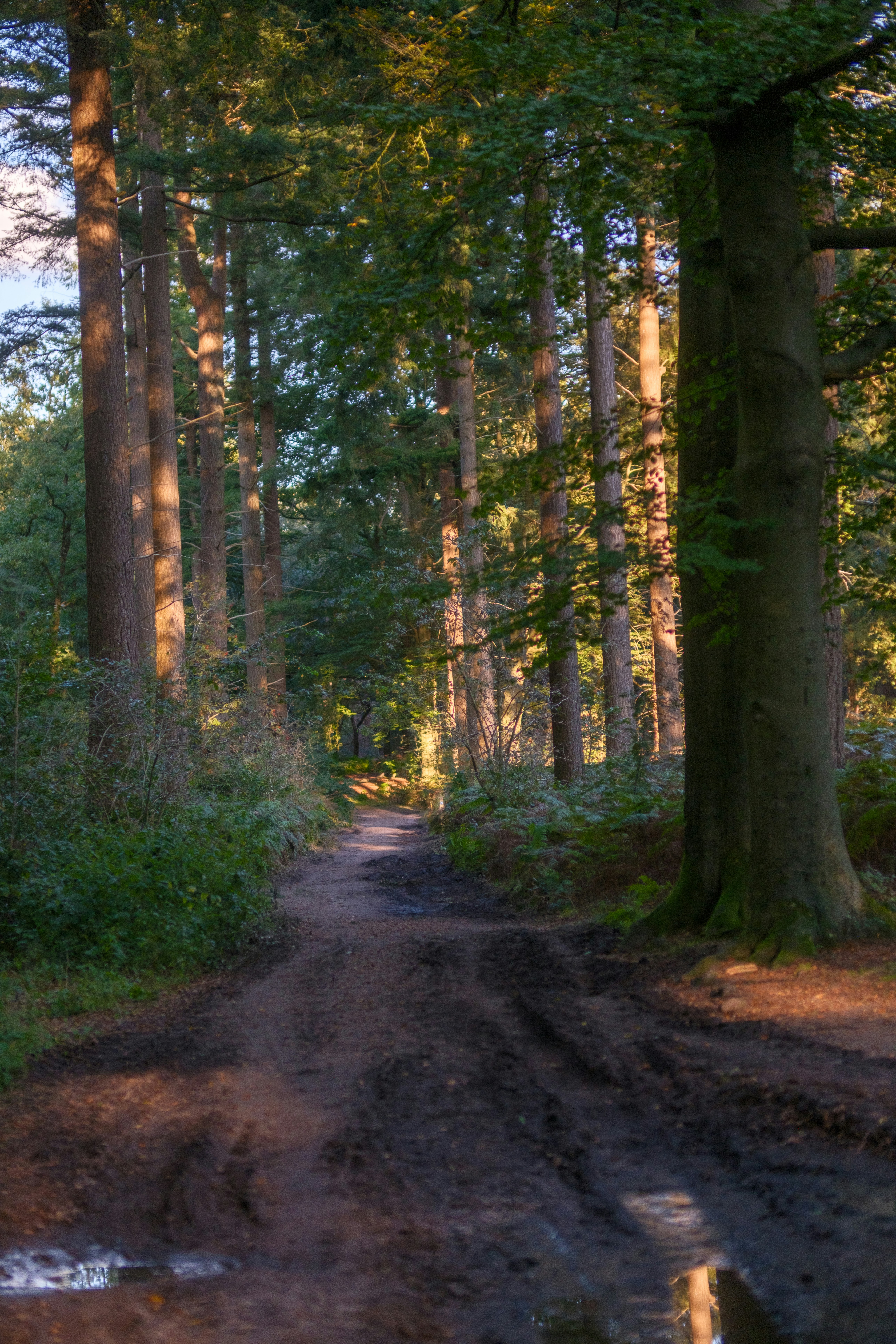 Photo by haberdoedas