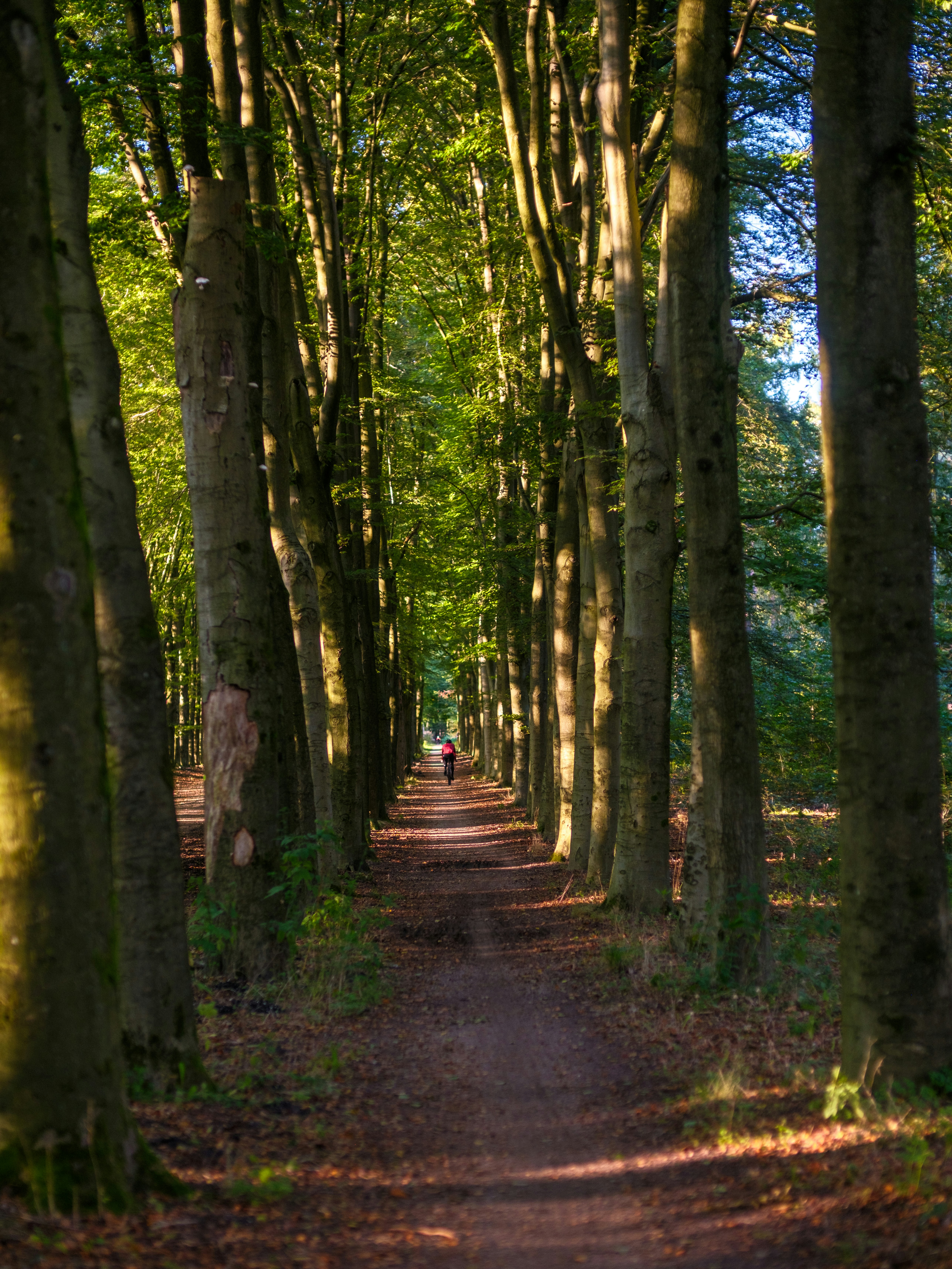 Photo by haberdoedas