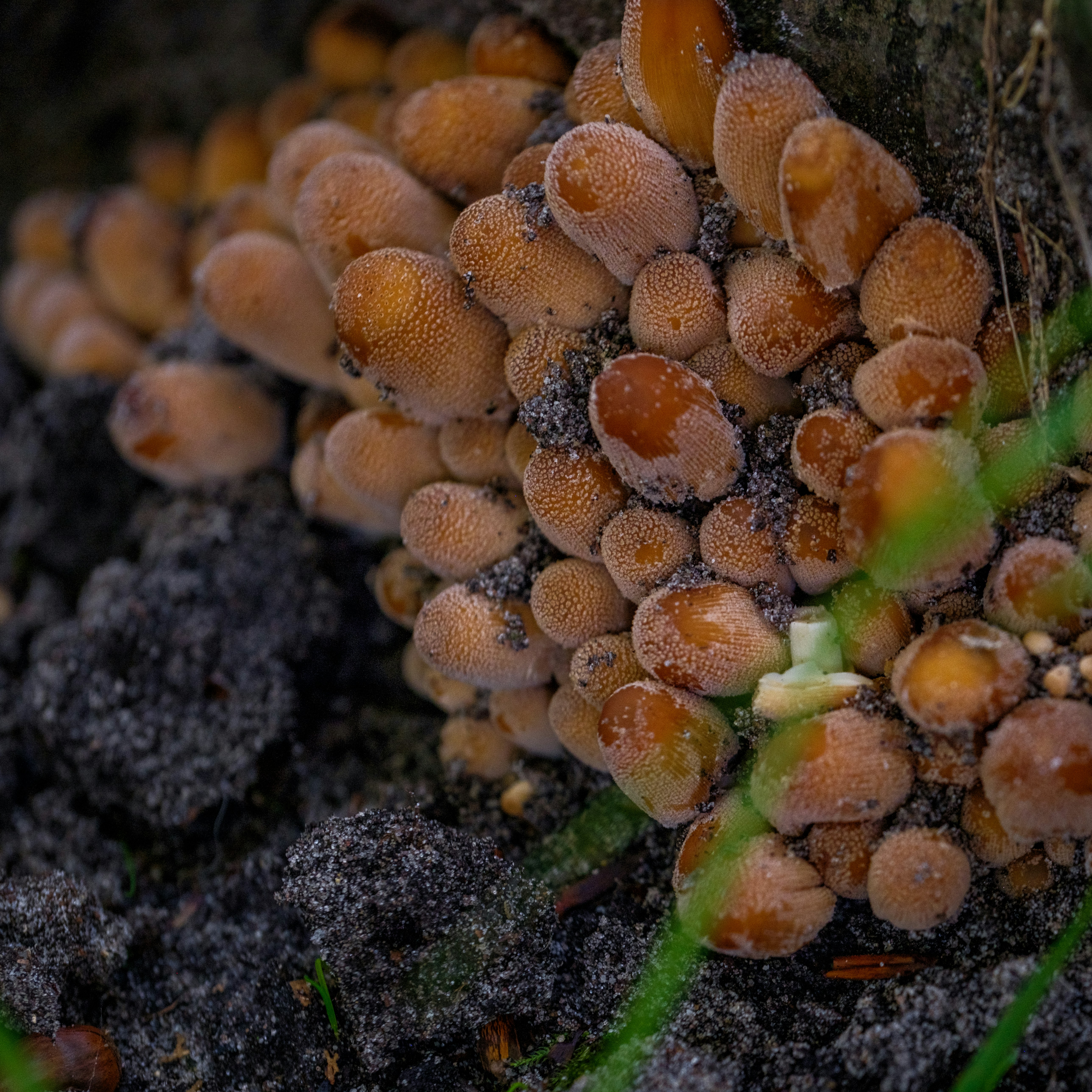 Photo by haberdoedas