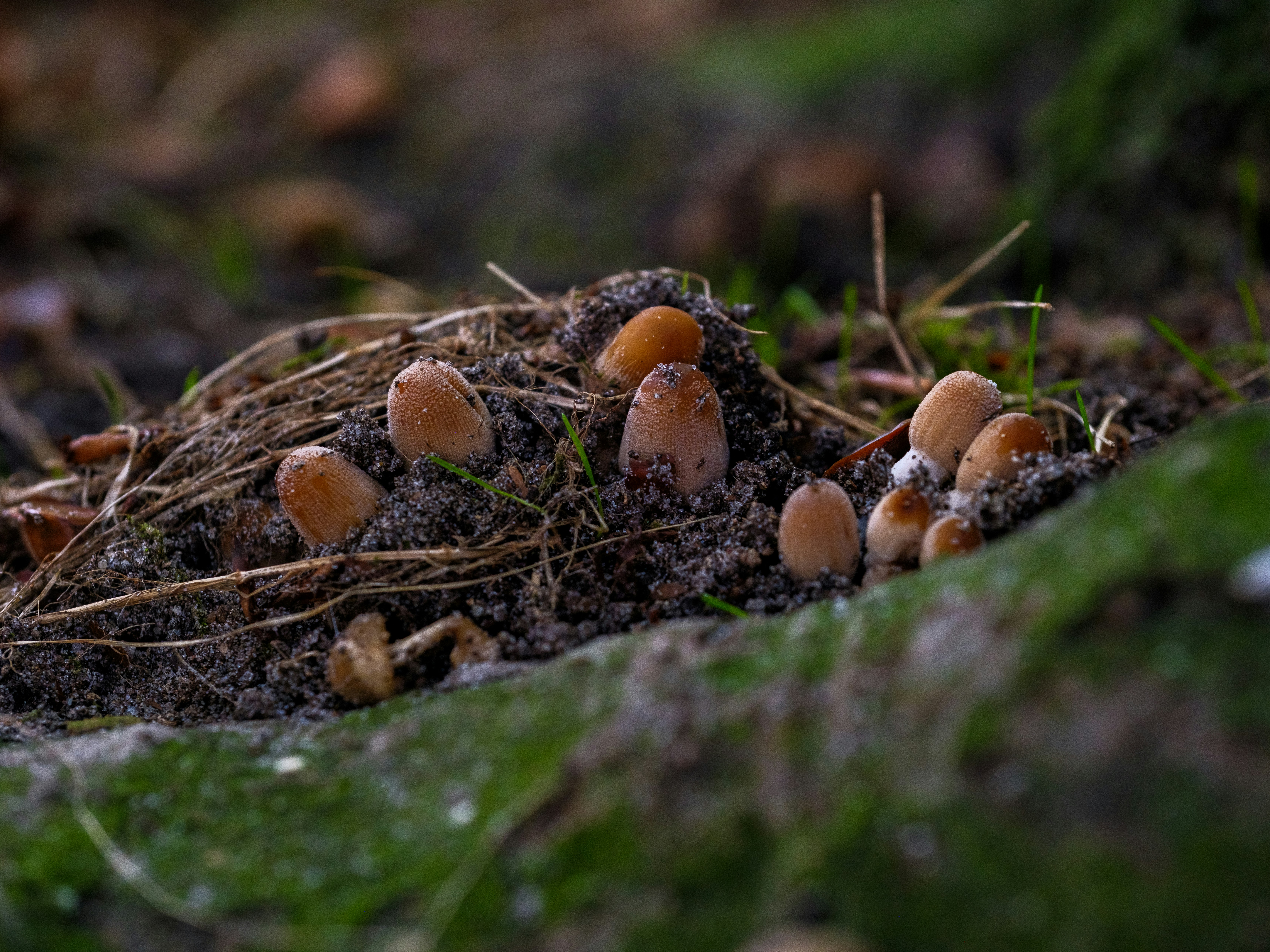 Photo by haberdoedas