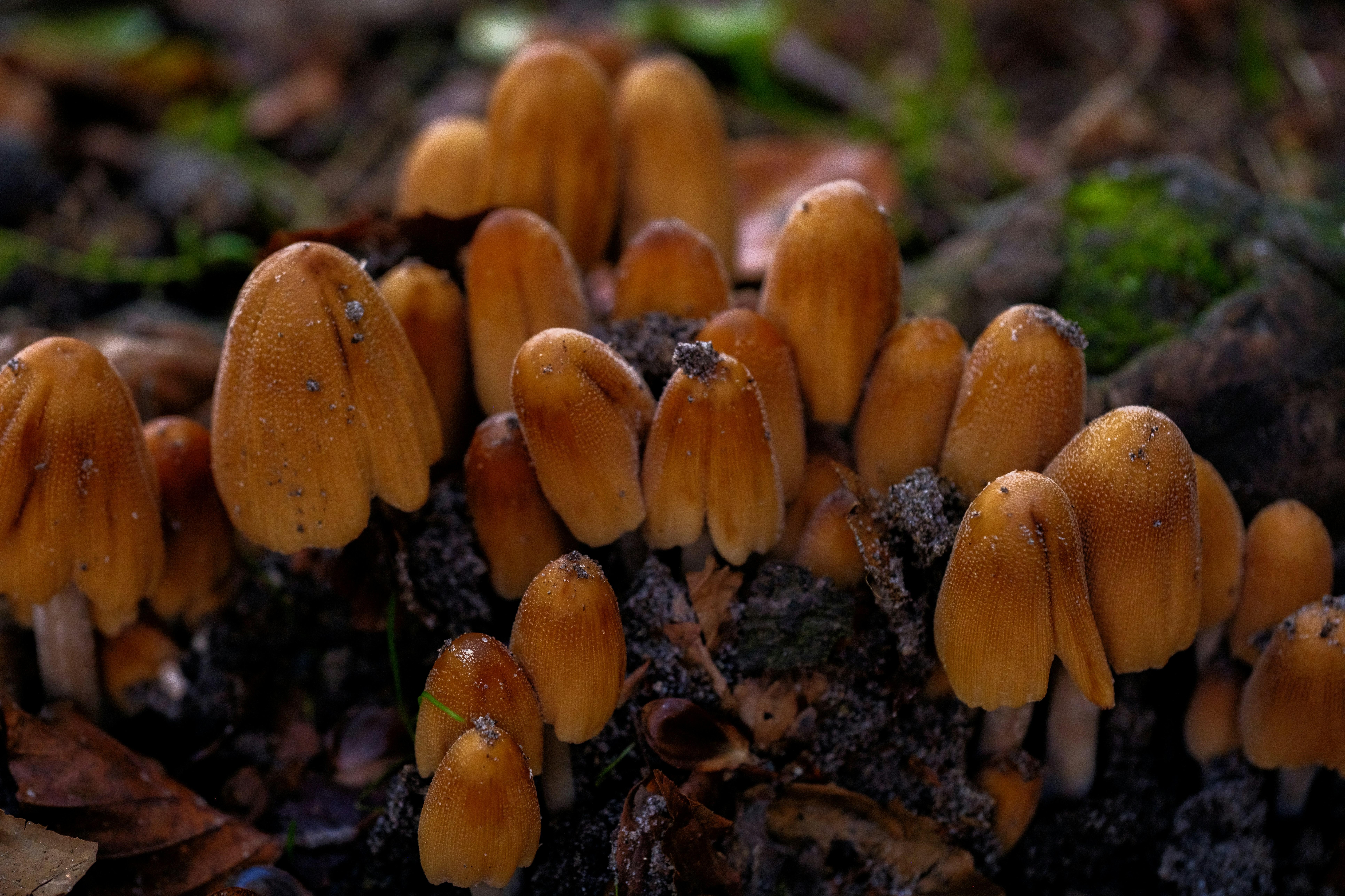 Photo by haberdoedas