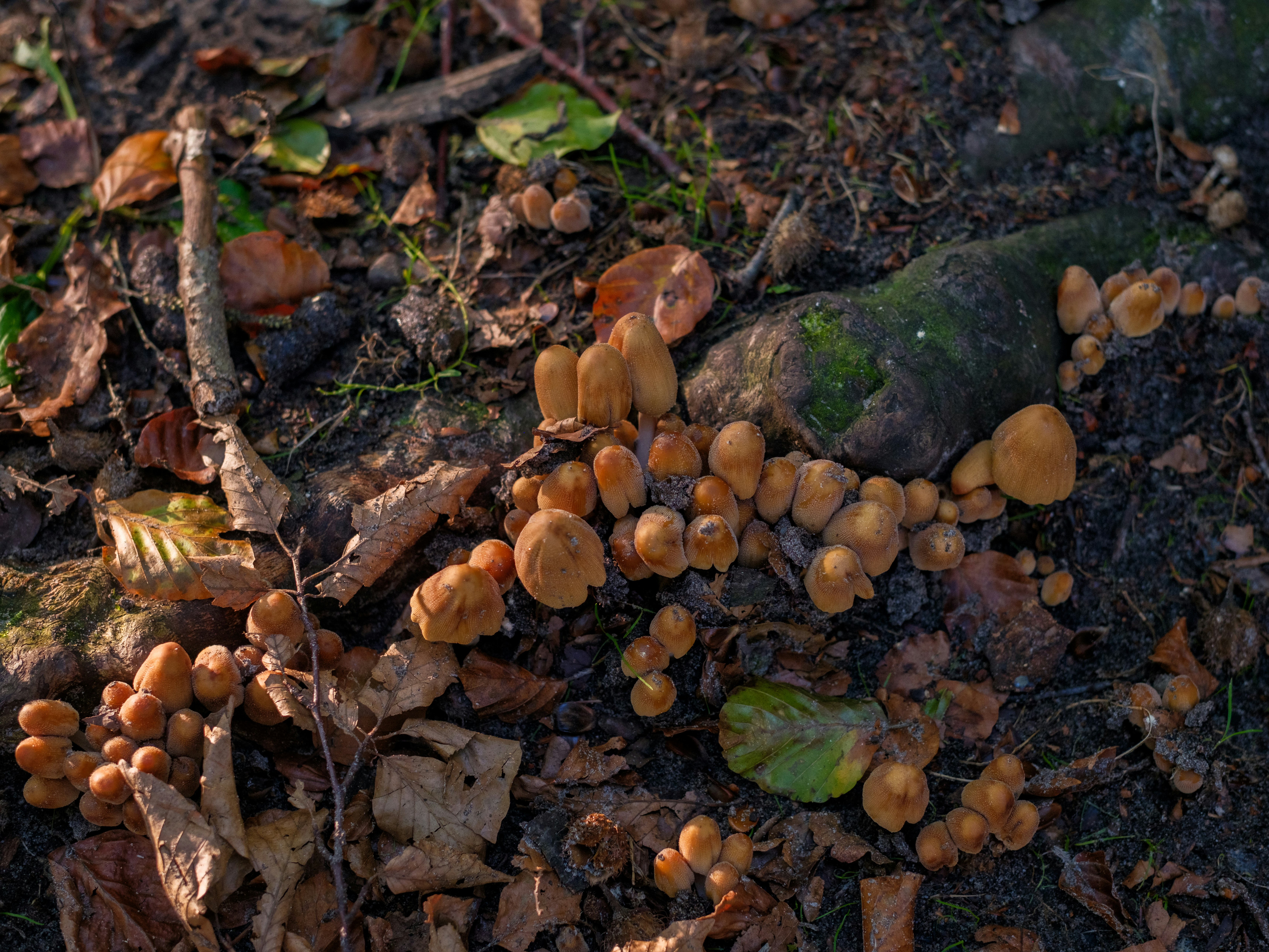 Photo by haberdoedas