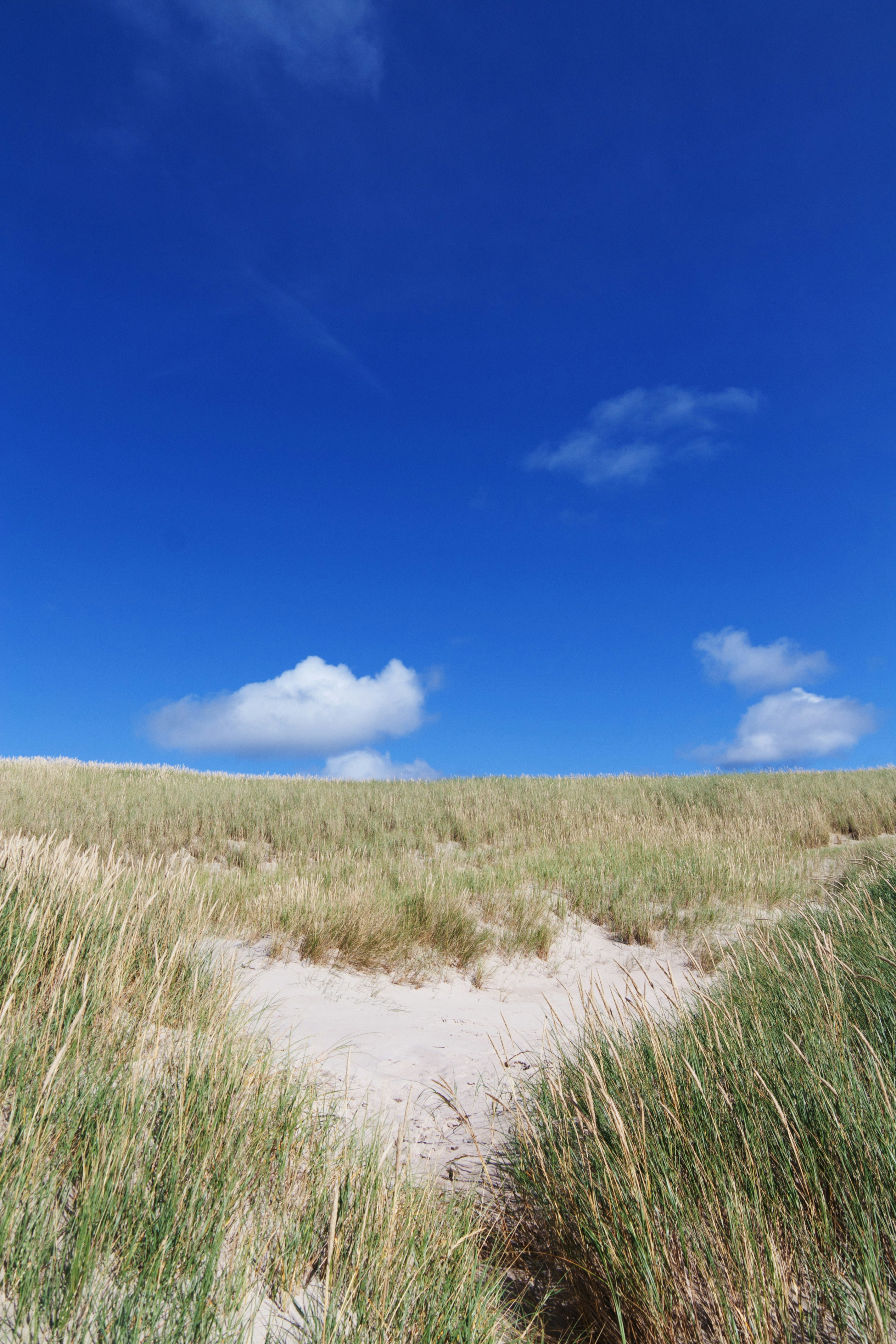 Photo by bauchredner